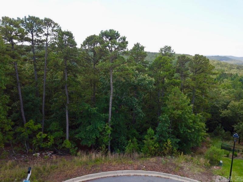 185  Ridgeview  Maumelle, AR