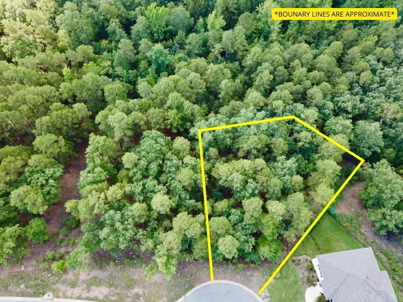 185  Ridgeview  Maumelle, AR