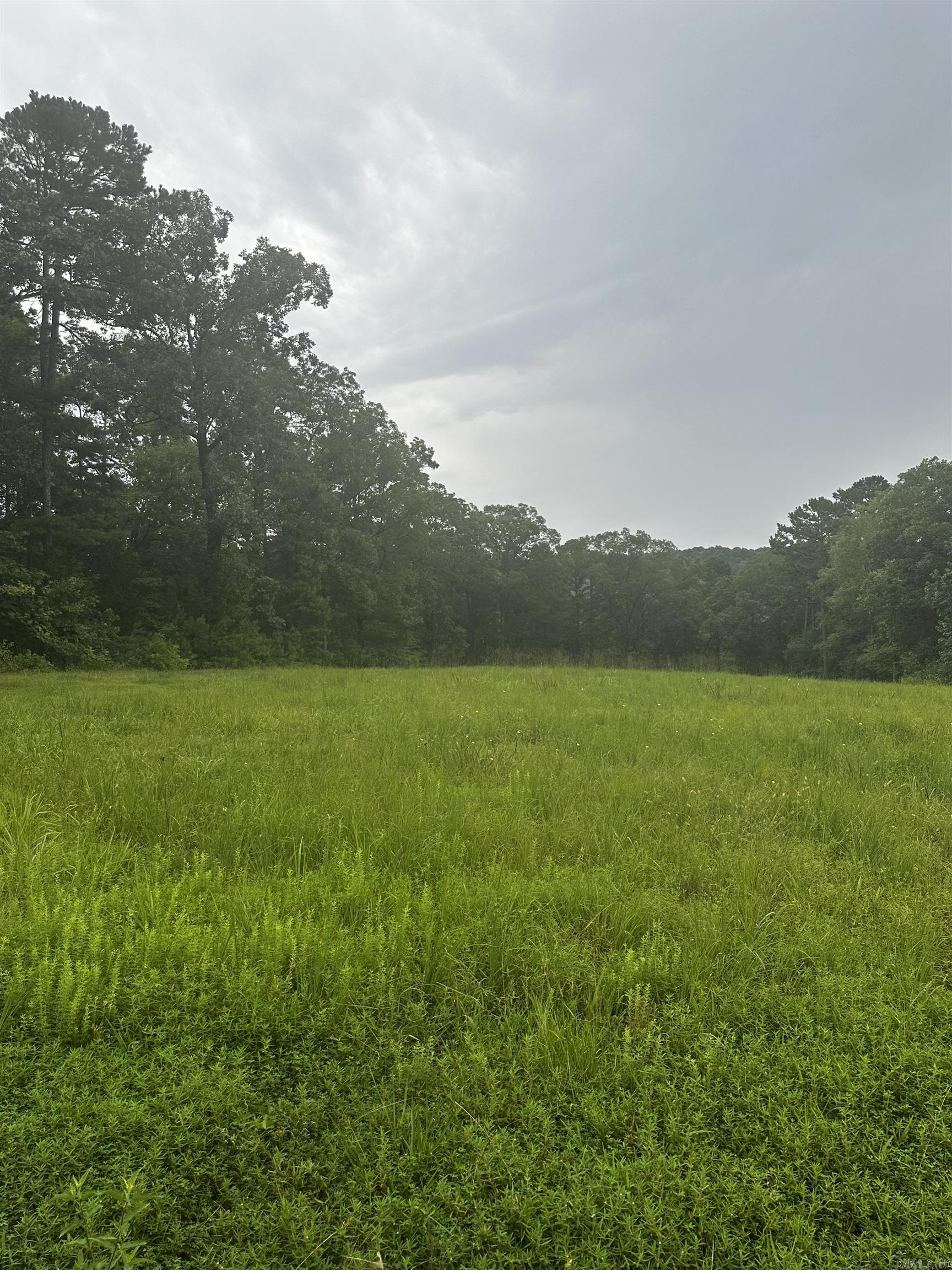 Lot 70  Cobalt Bay Drive  Shirley, AR