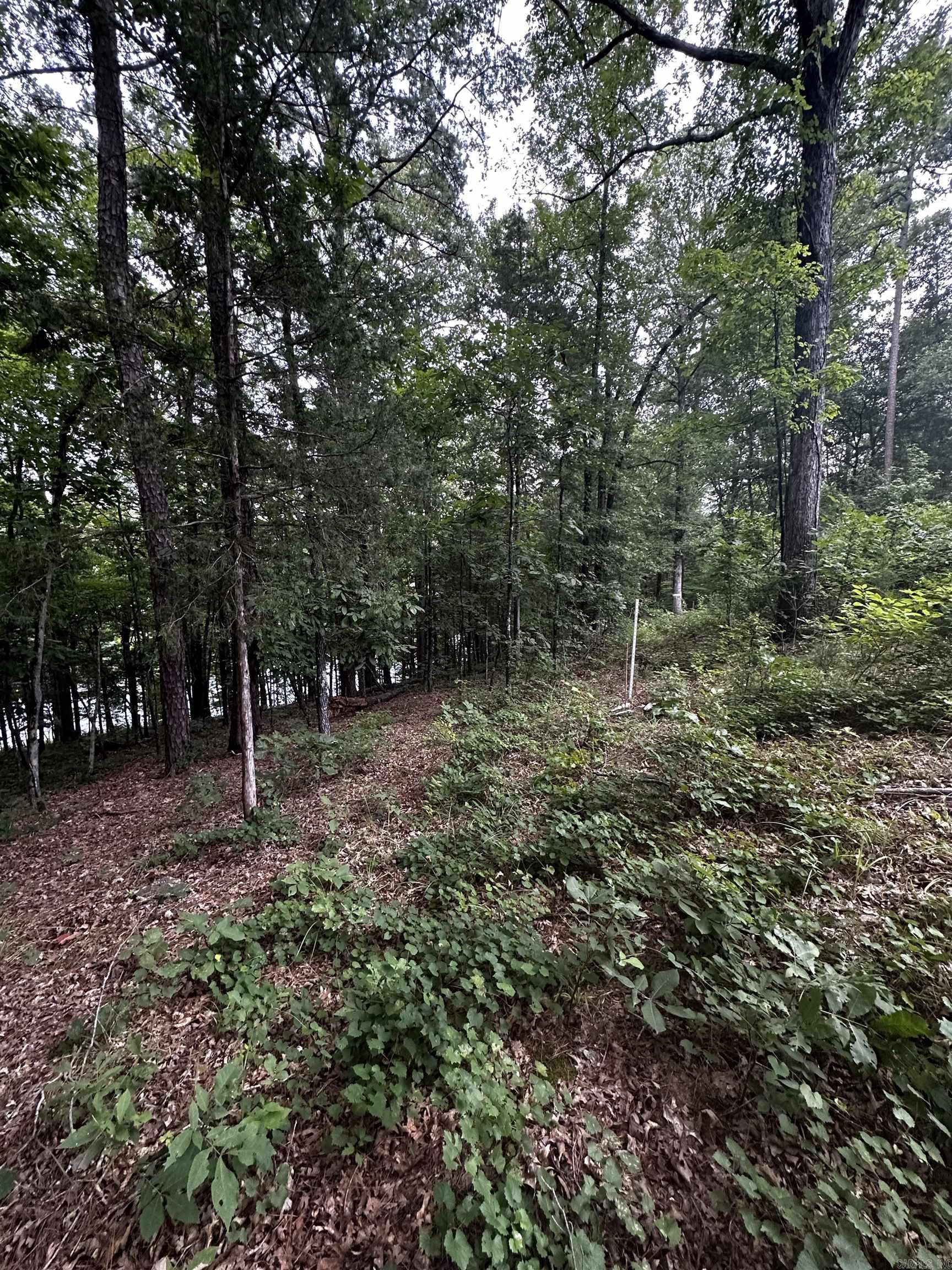 Lot 70  Cobalt Bay Drive  Shirley, AR