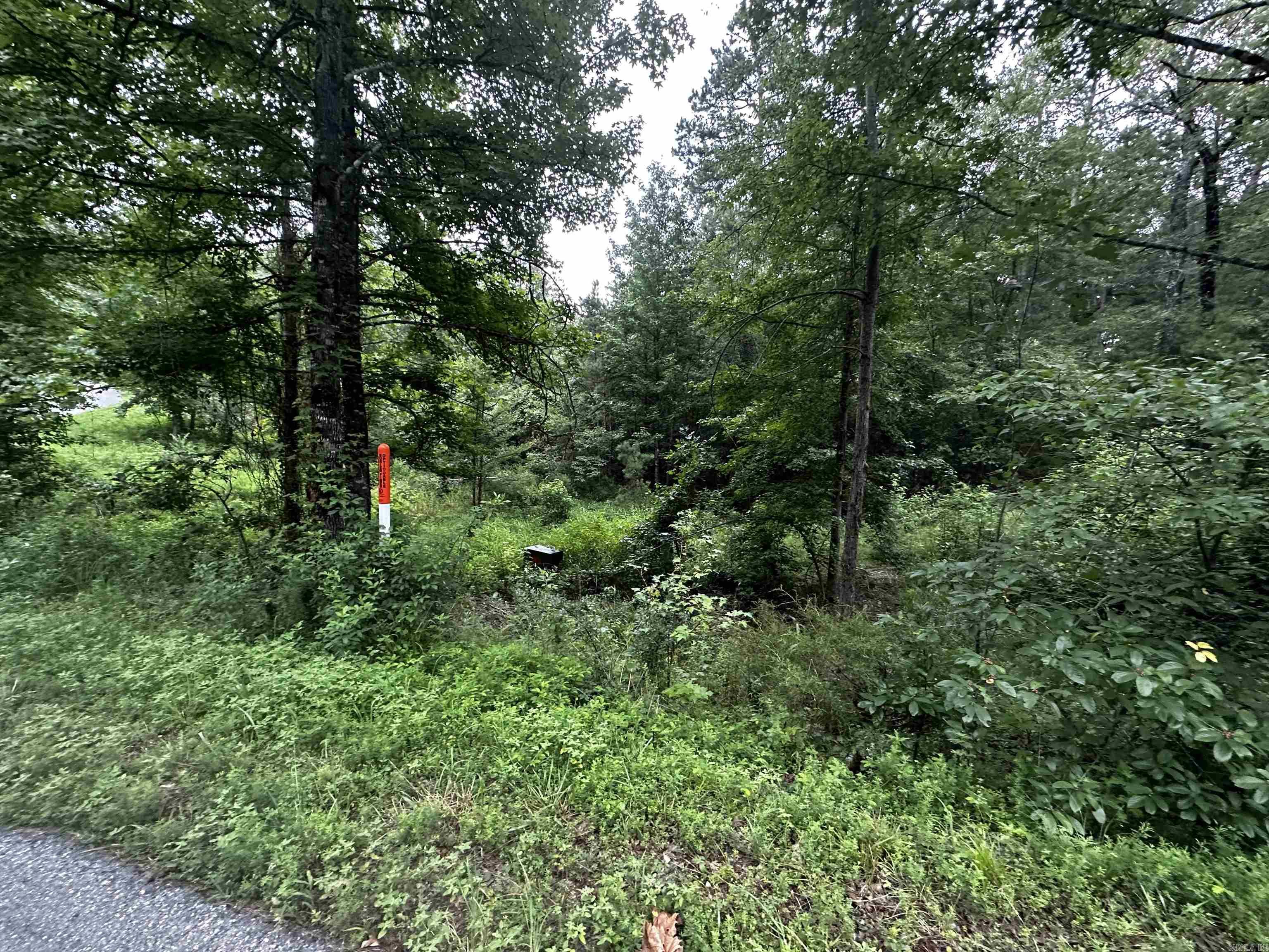 Lot 48  Cobalt Bay Drive  Shirley, AR