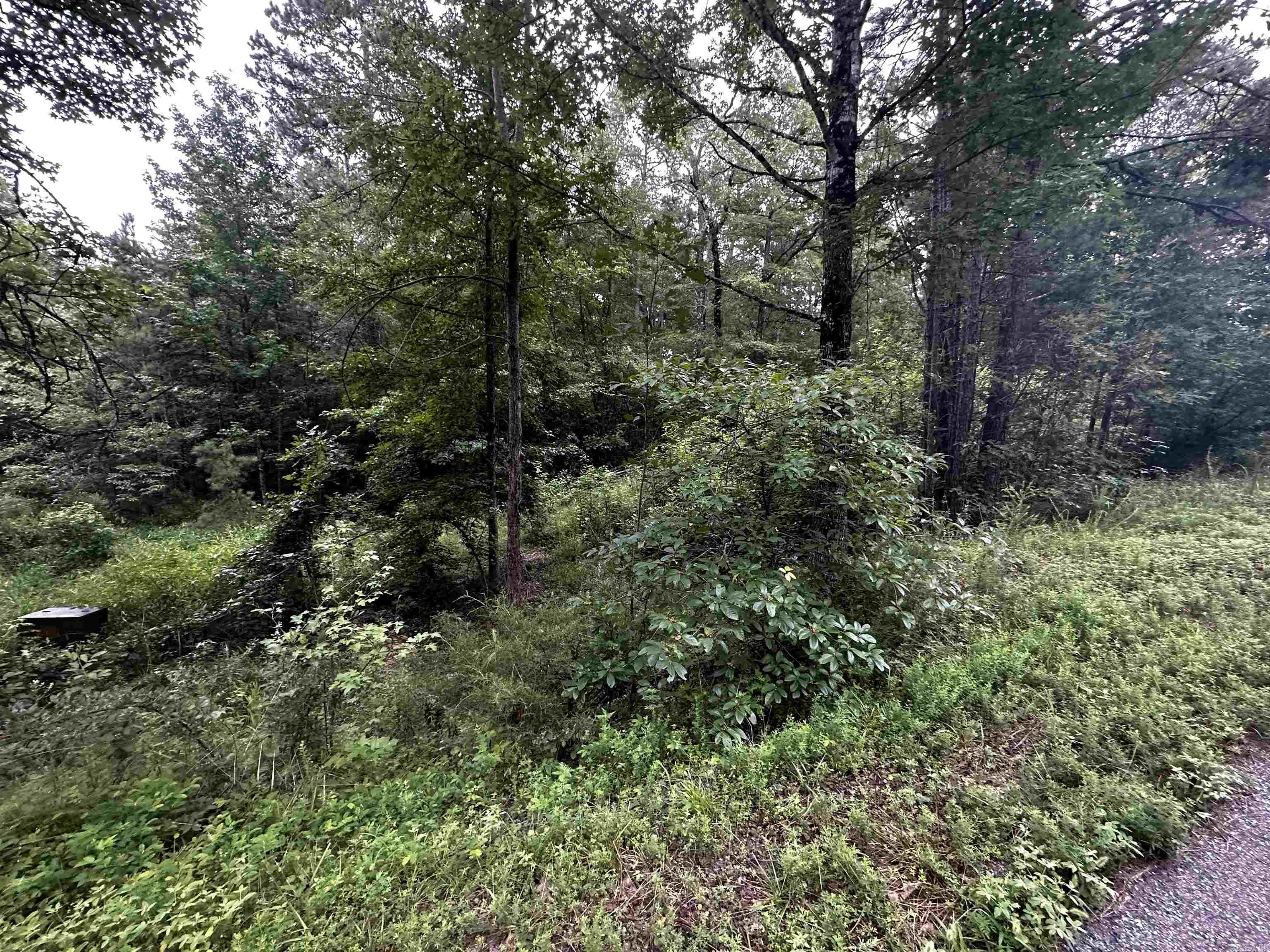 Lot 48  Cobalt Bay Drive  Shirley, AR