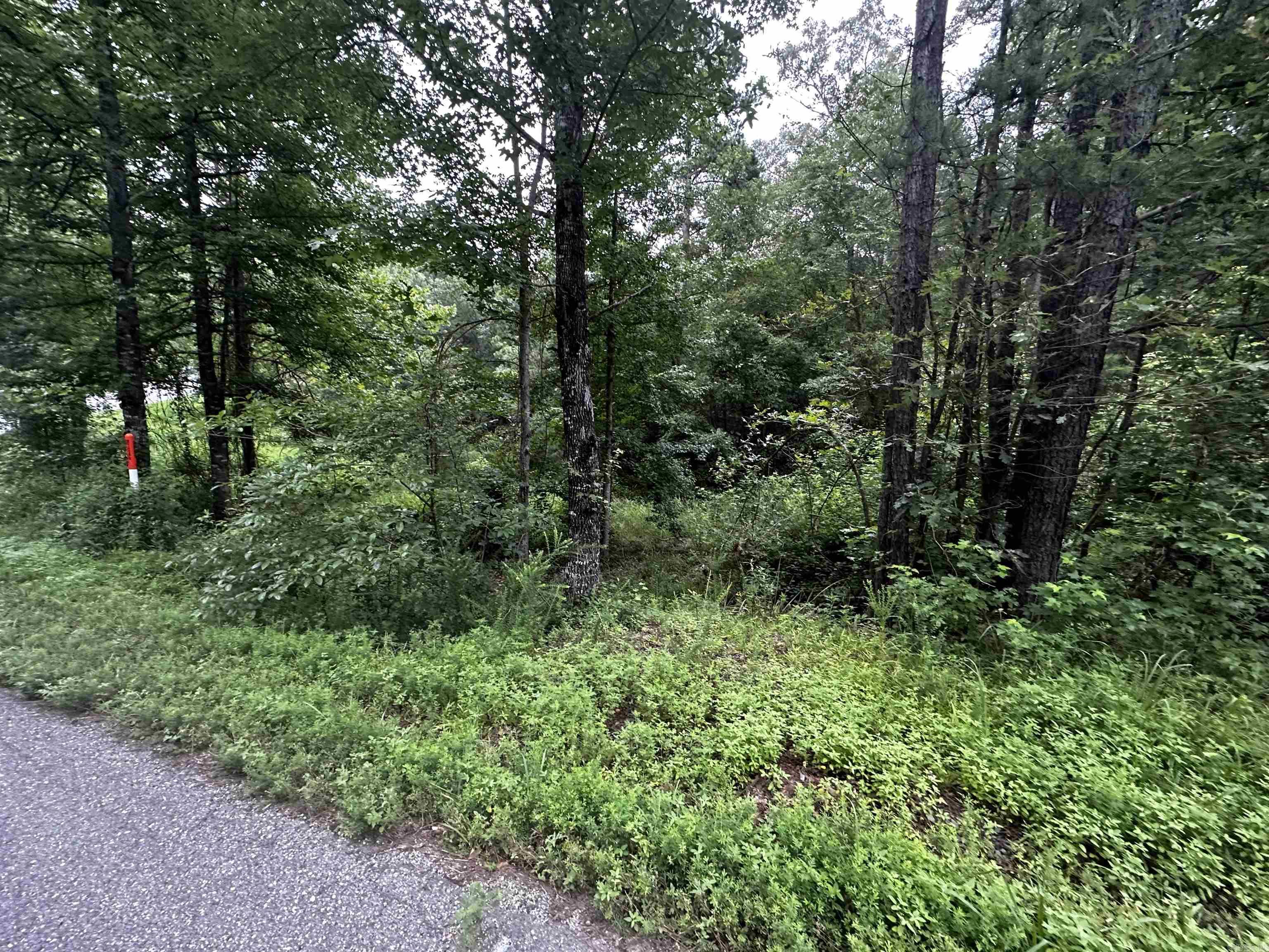 Lot 48  Cobalt Bay Drive  Shirley, AR