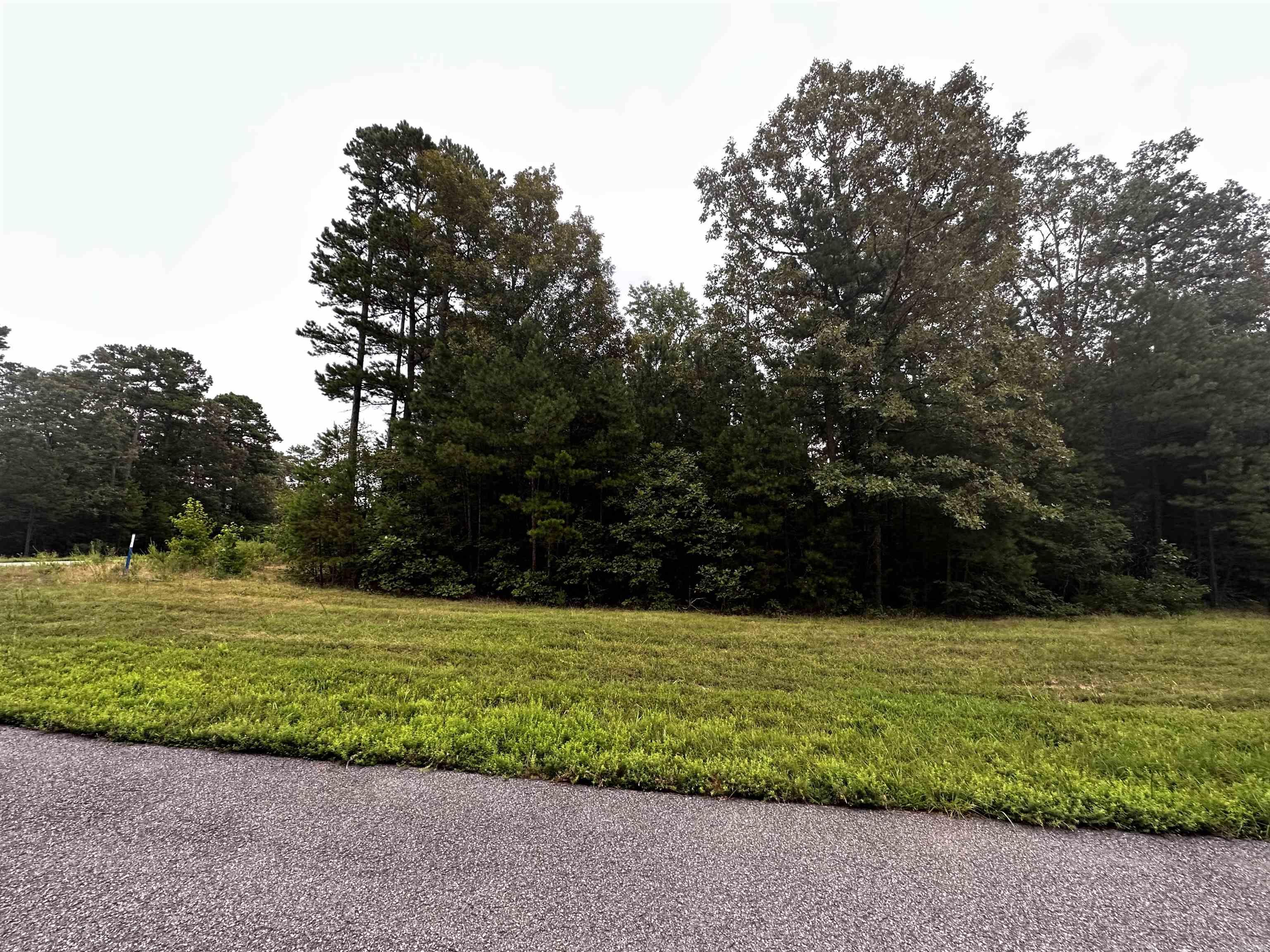 Lot 64  Cobalt Bay Drive Lot  Shirley, AR