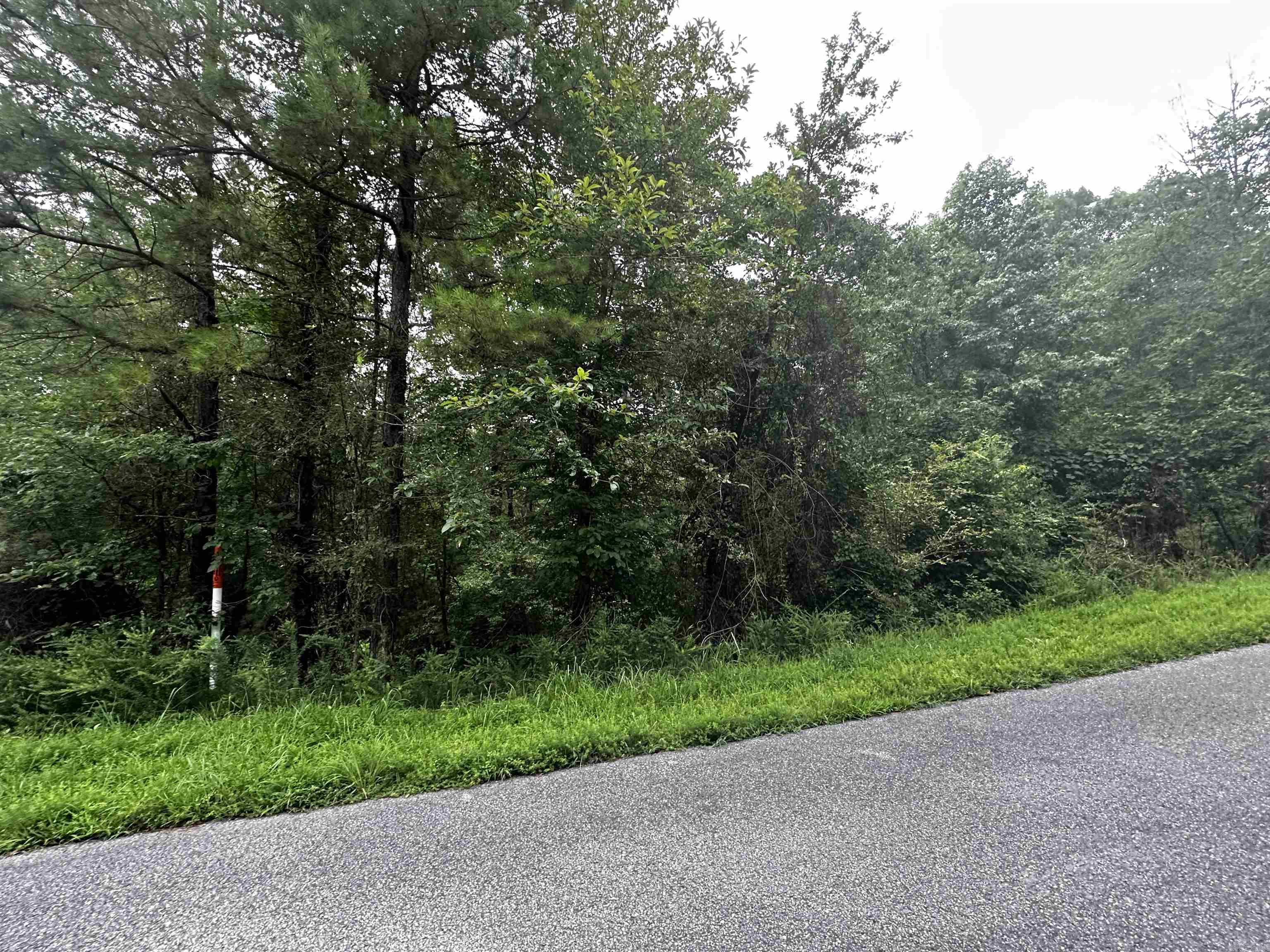 Lot 66  Cobalt Bay Drive  Shirley, AR