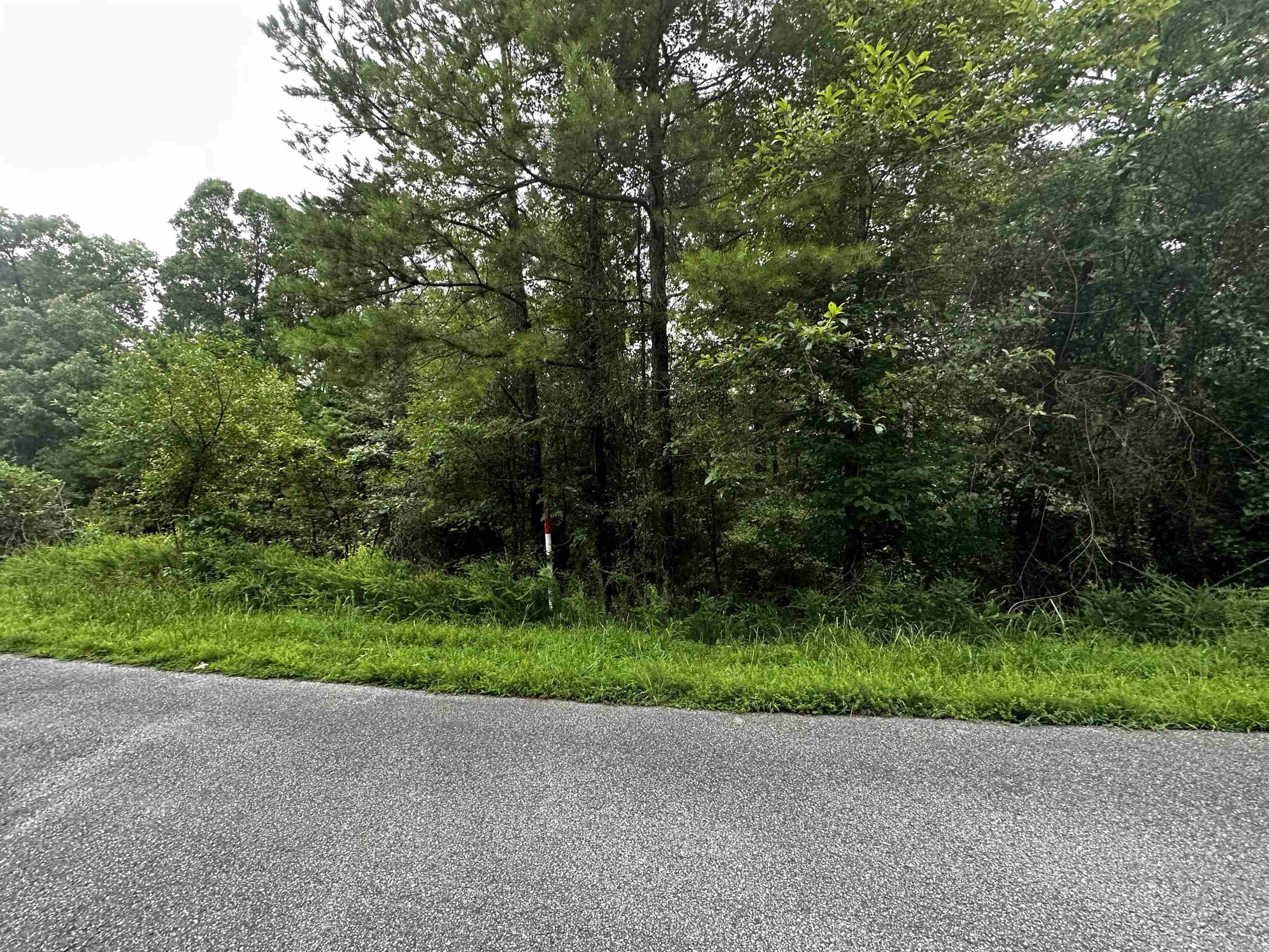 Lot 66  Cobalt Bay Drive  Shirley, AR