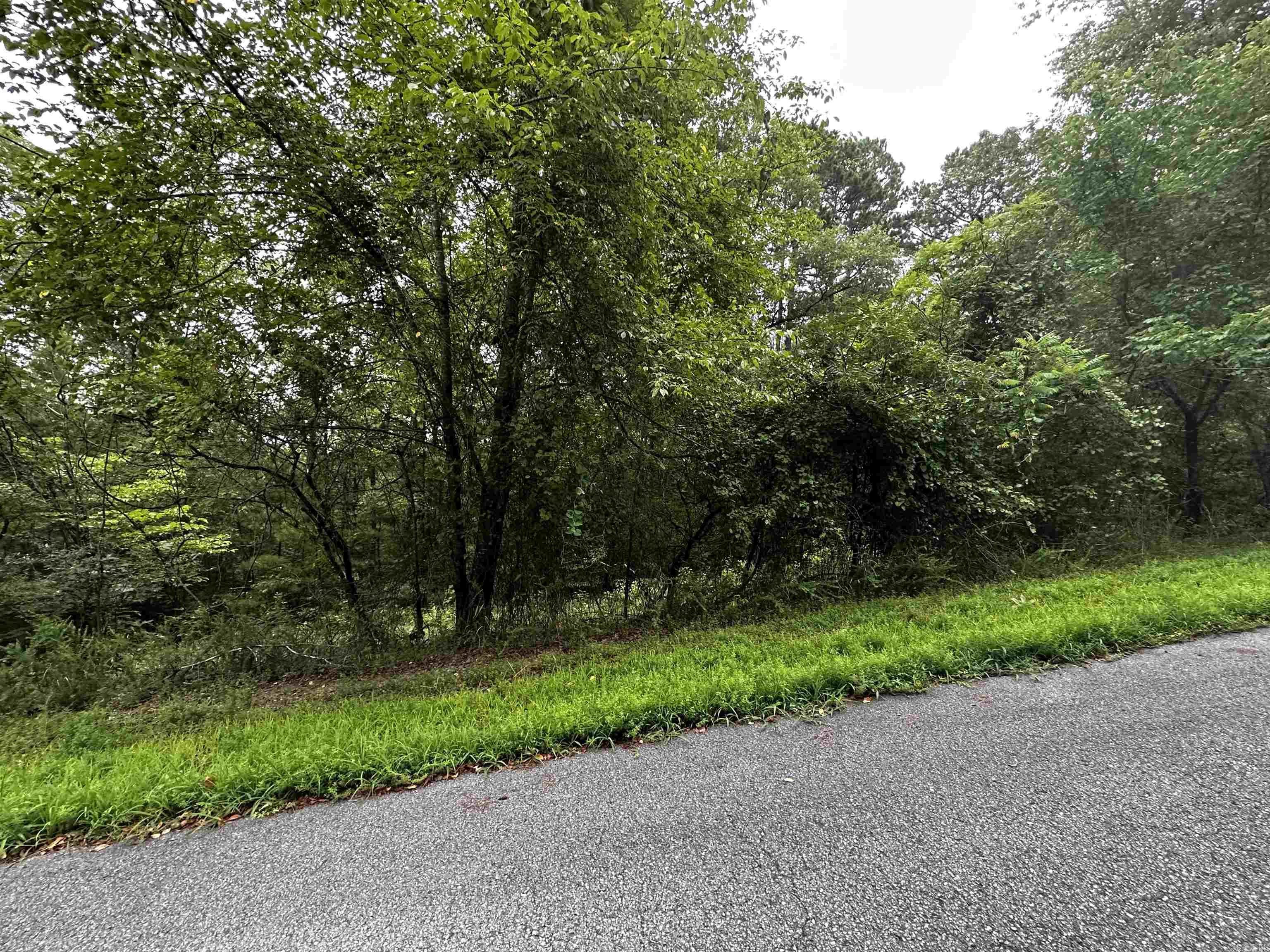 Lot 67  Cobalt Bay Drive  Shirley, AR