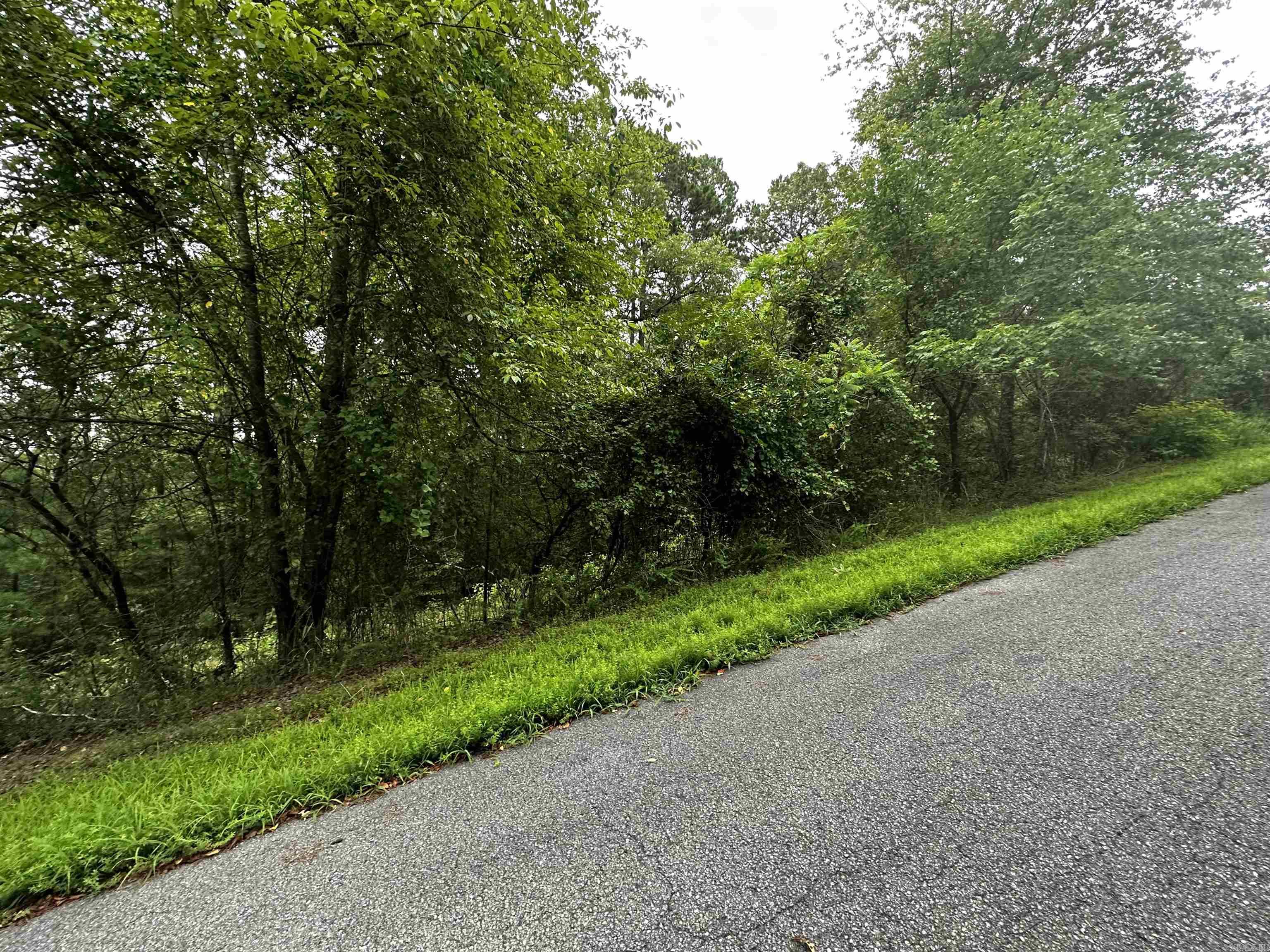 Lot 67  Cobalt Bay Drive  Shirley, AR