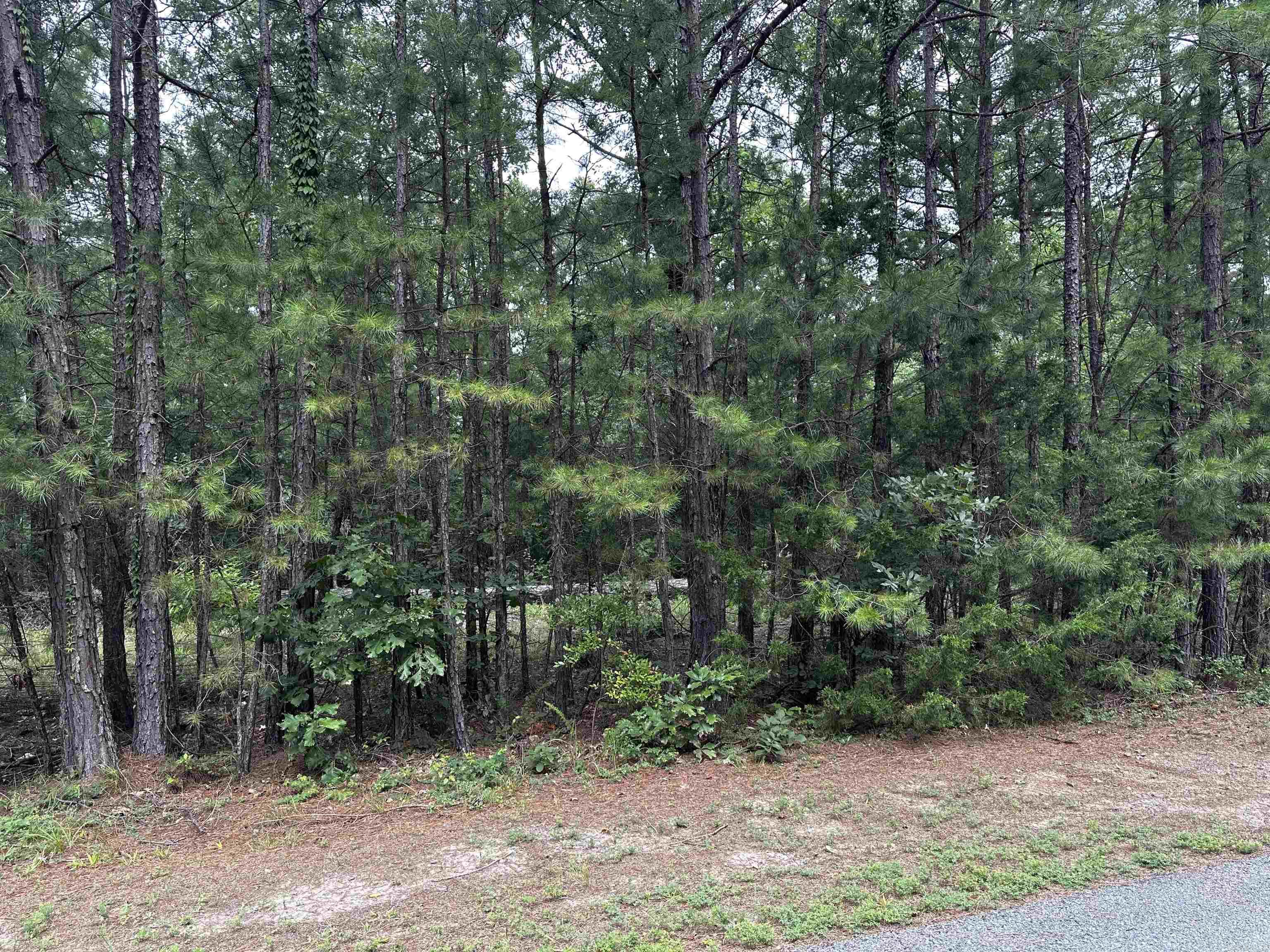 Lot 87  Cobalt Bay Drive  Shirley, AR