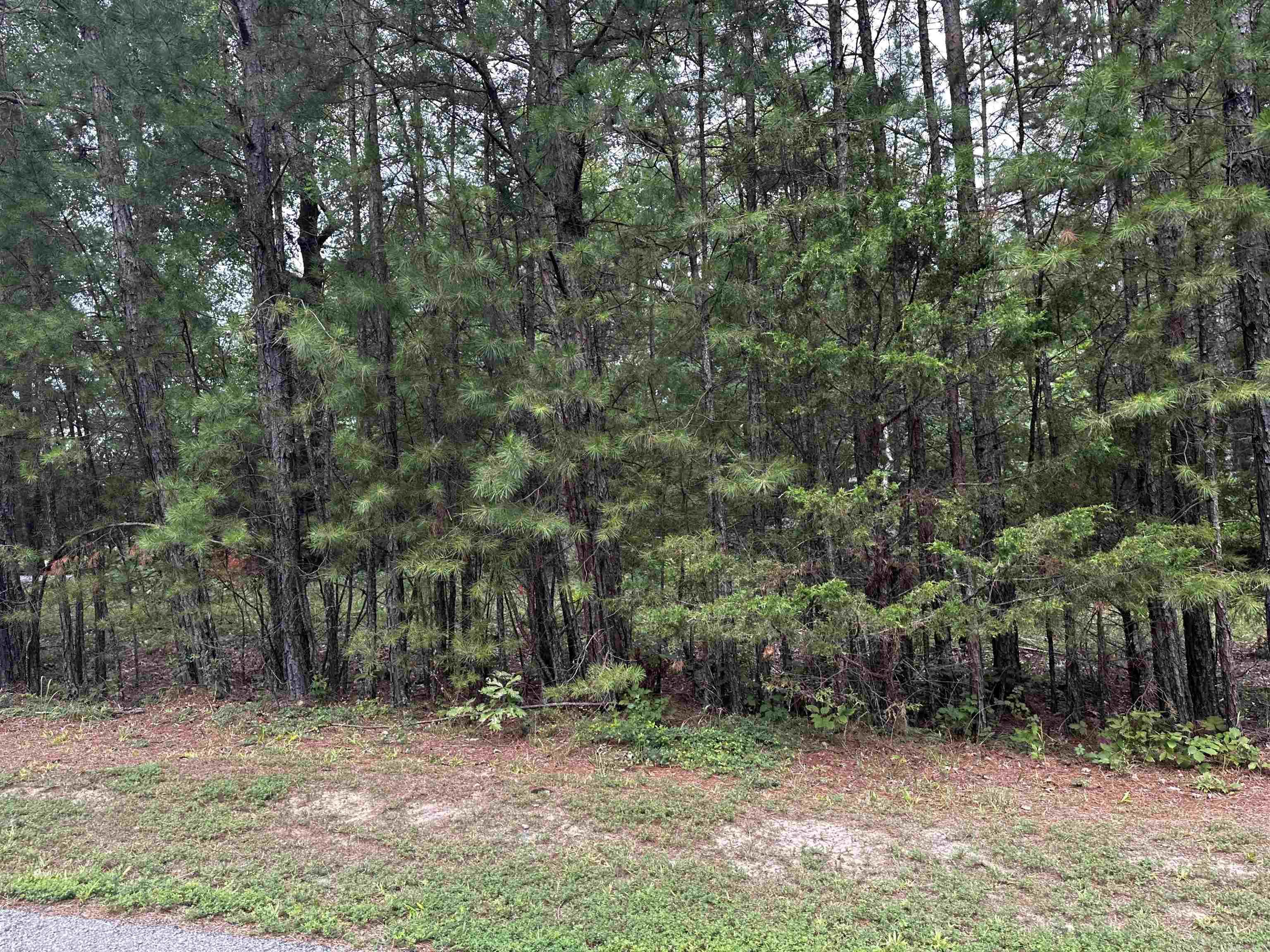 Lot 87  Cobalt Bay Drive  Shirley, AR