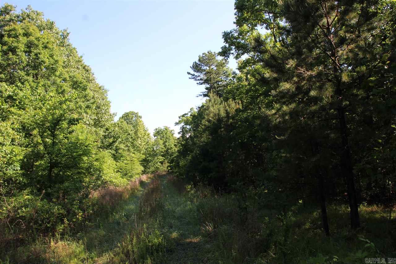 001-07824-000  Hwy 14 N  Yellville, AR