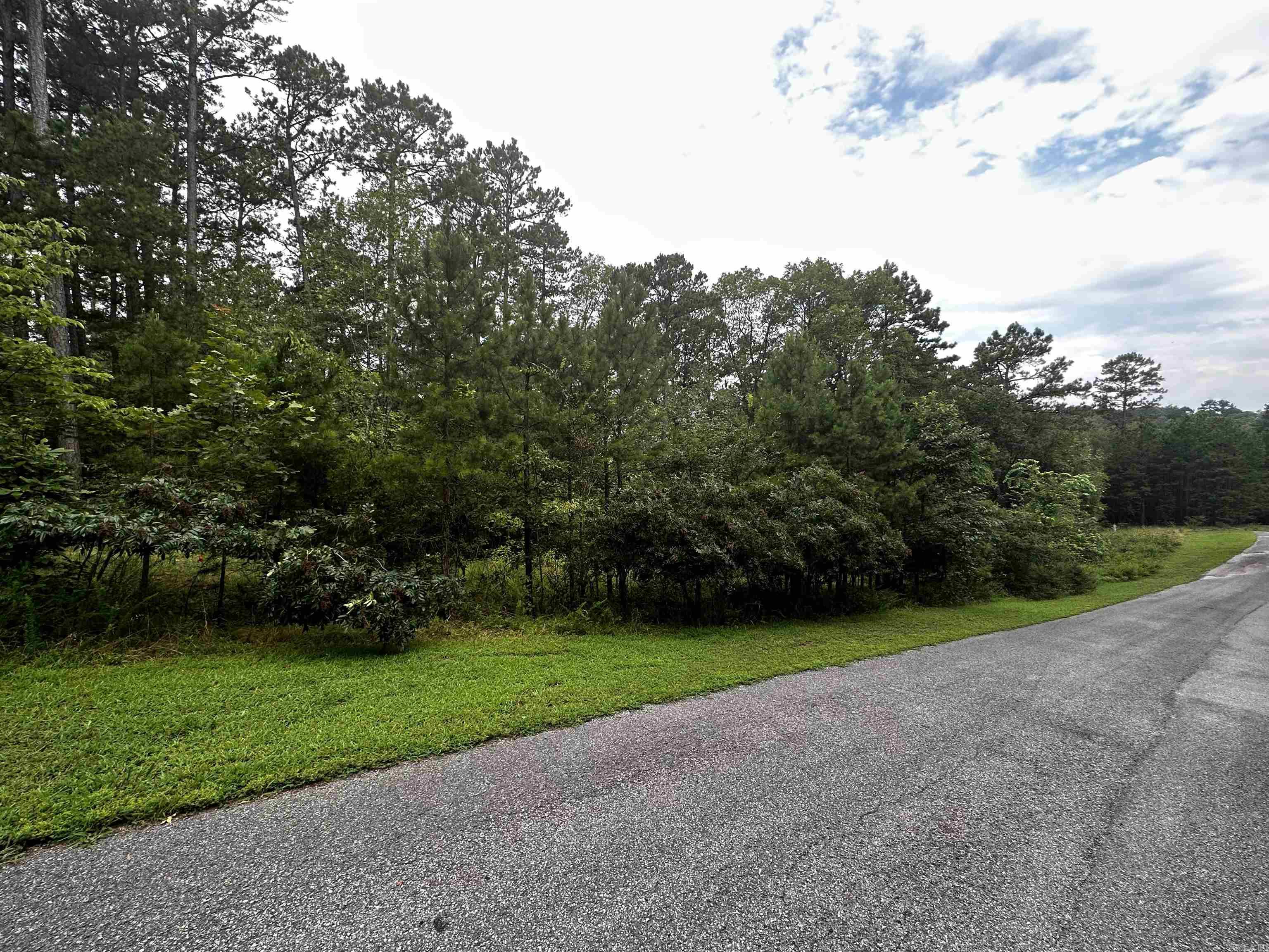 Lot 89  Cobalt Bay Drive  Shirley, AR
