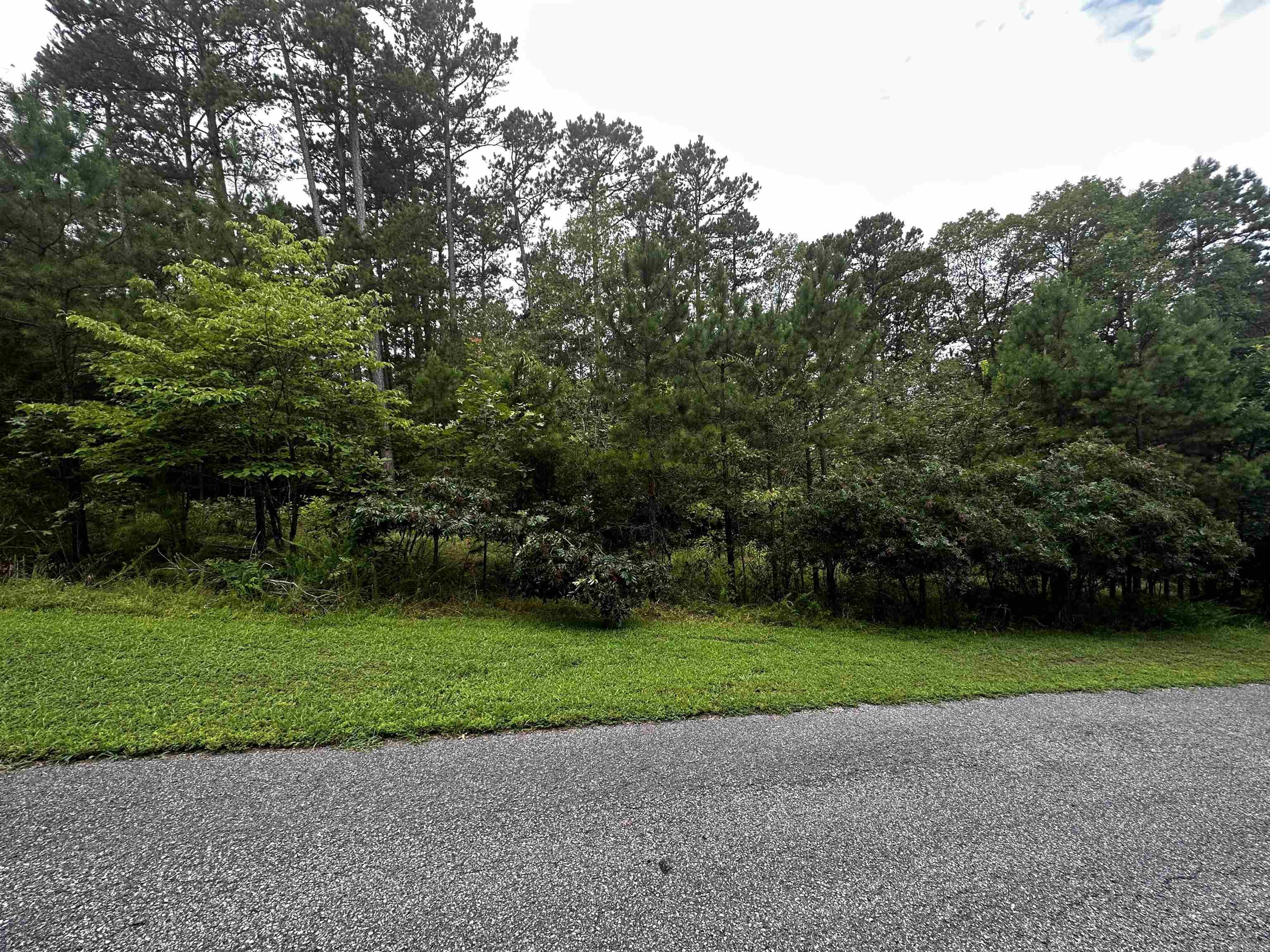 Lot 90  Cobalt Bay Drive  Shirley, AR