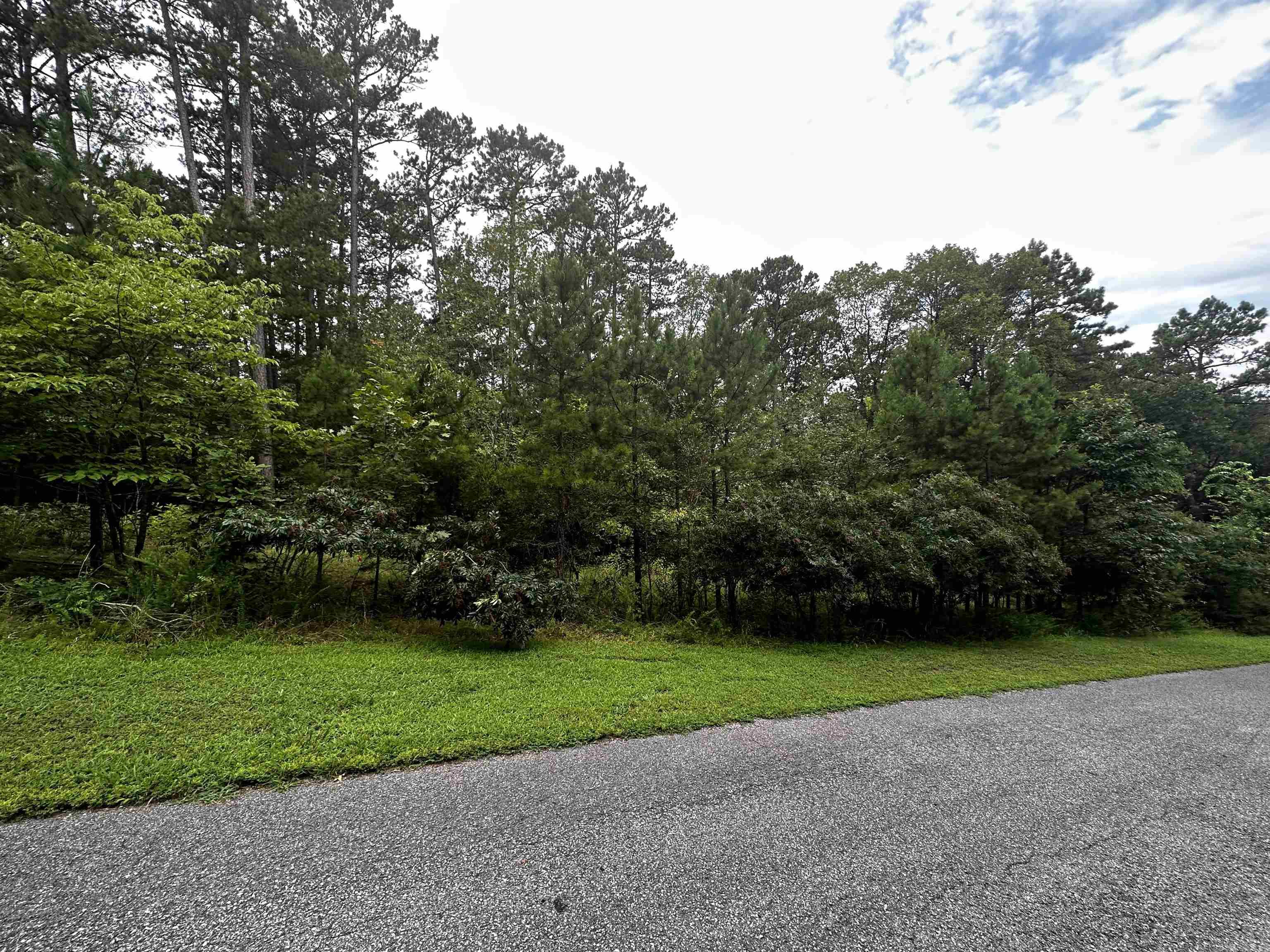 Lot 90  Cobalt Bay Drive  Shirley, AR