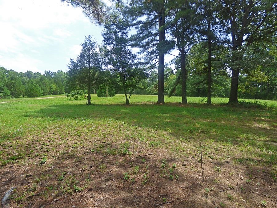 5244  AR. Highway 58  Williford, AR