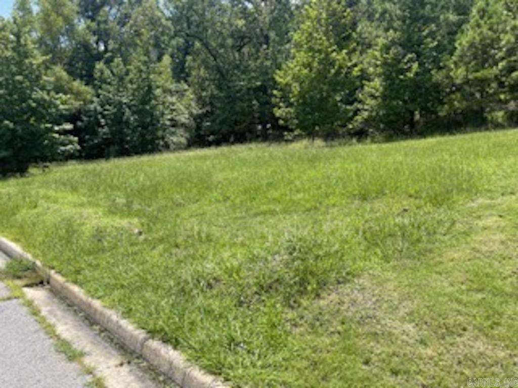 109  Navajo Trail  Maumelle, AR