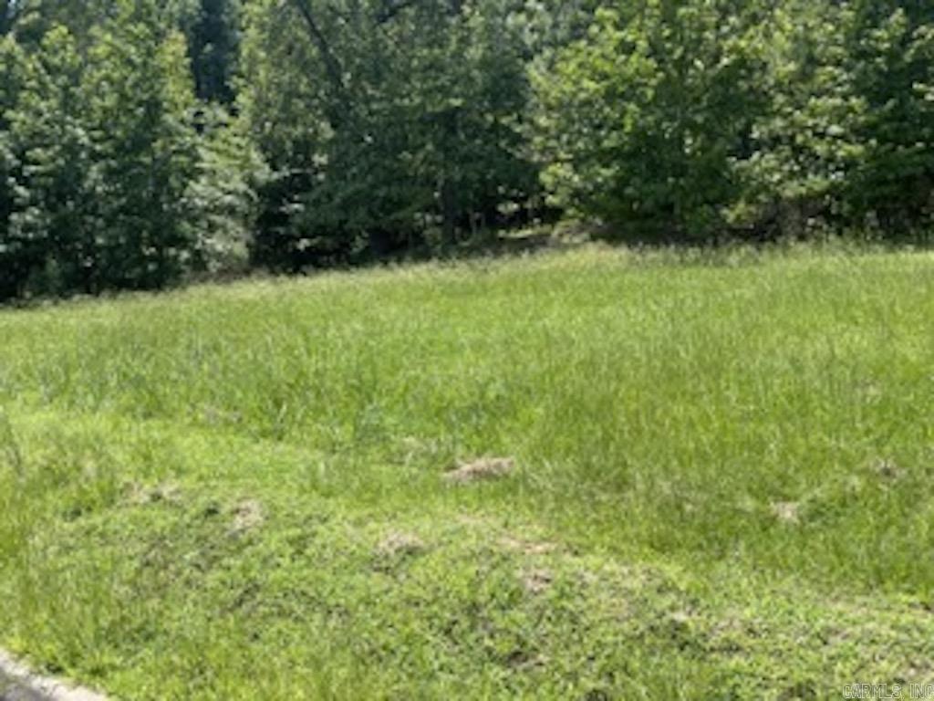 109  Navajo Trail  Maumelle, AR