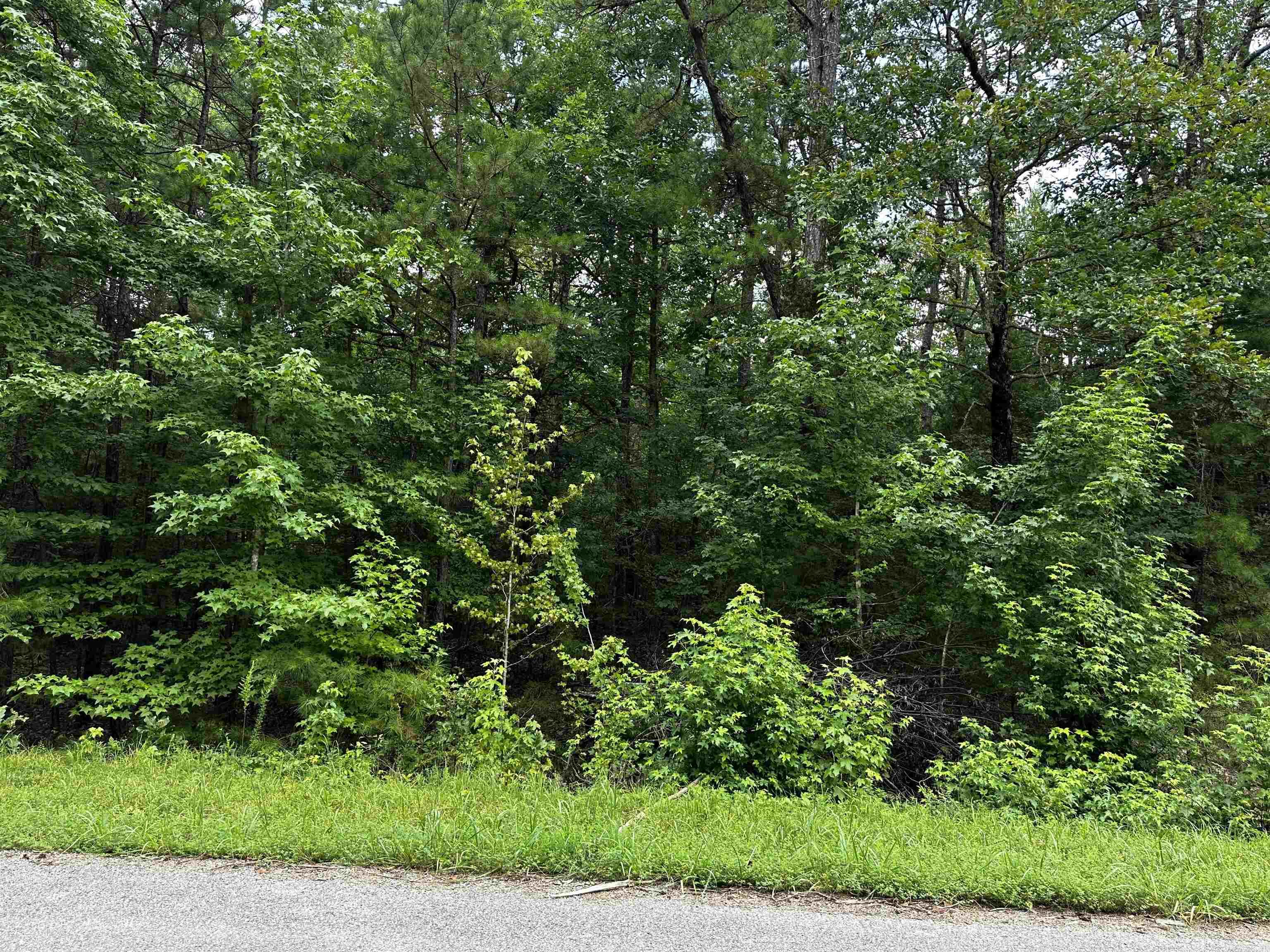 Lot 106  Cobalt Bay Drive  Shirley, AR