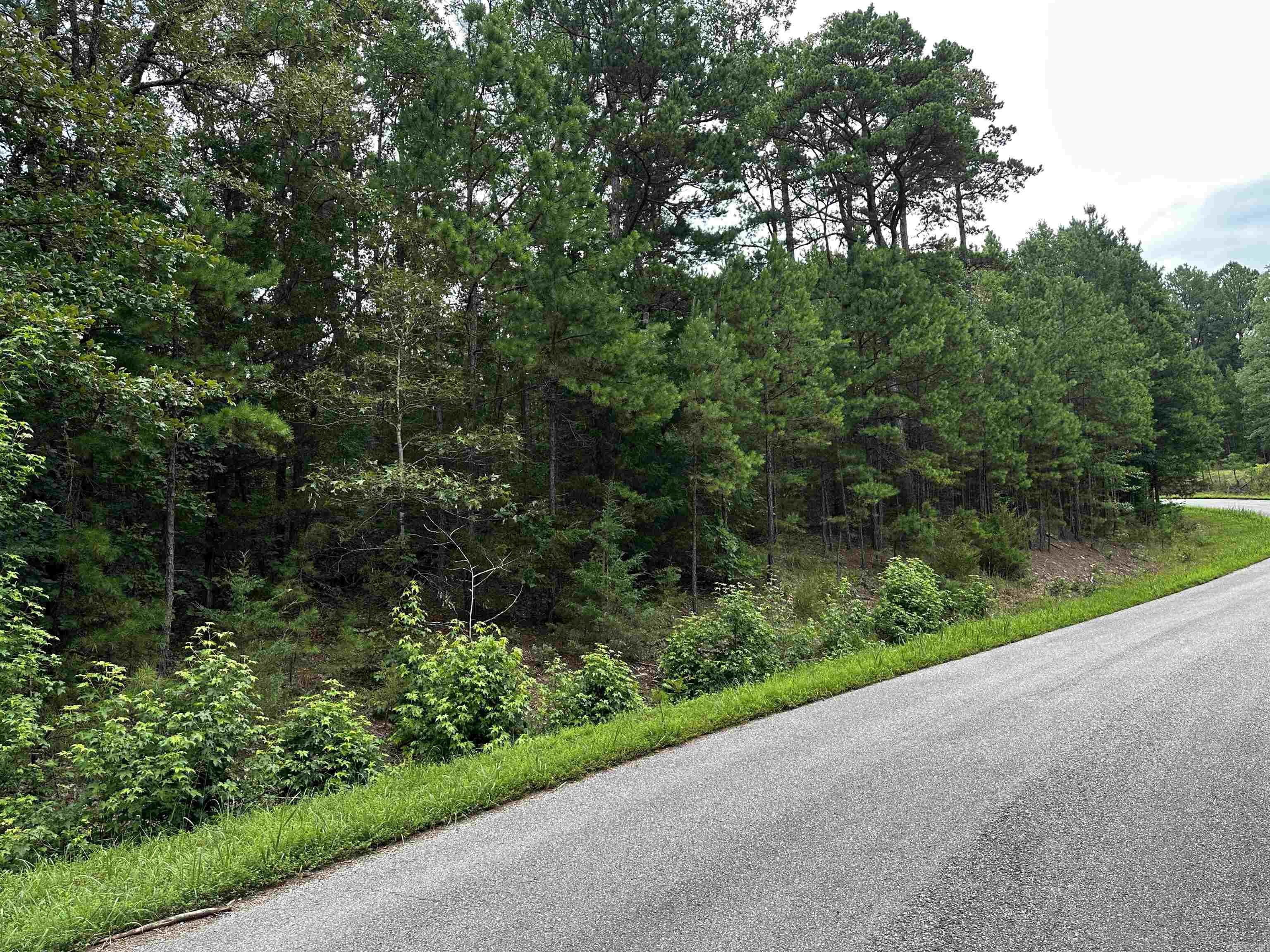 Lot 106  Cobalt Bay Drive  Shirley, AR
