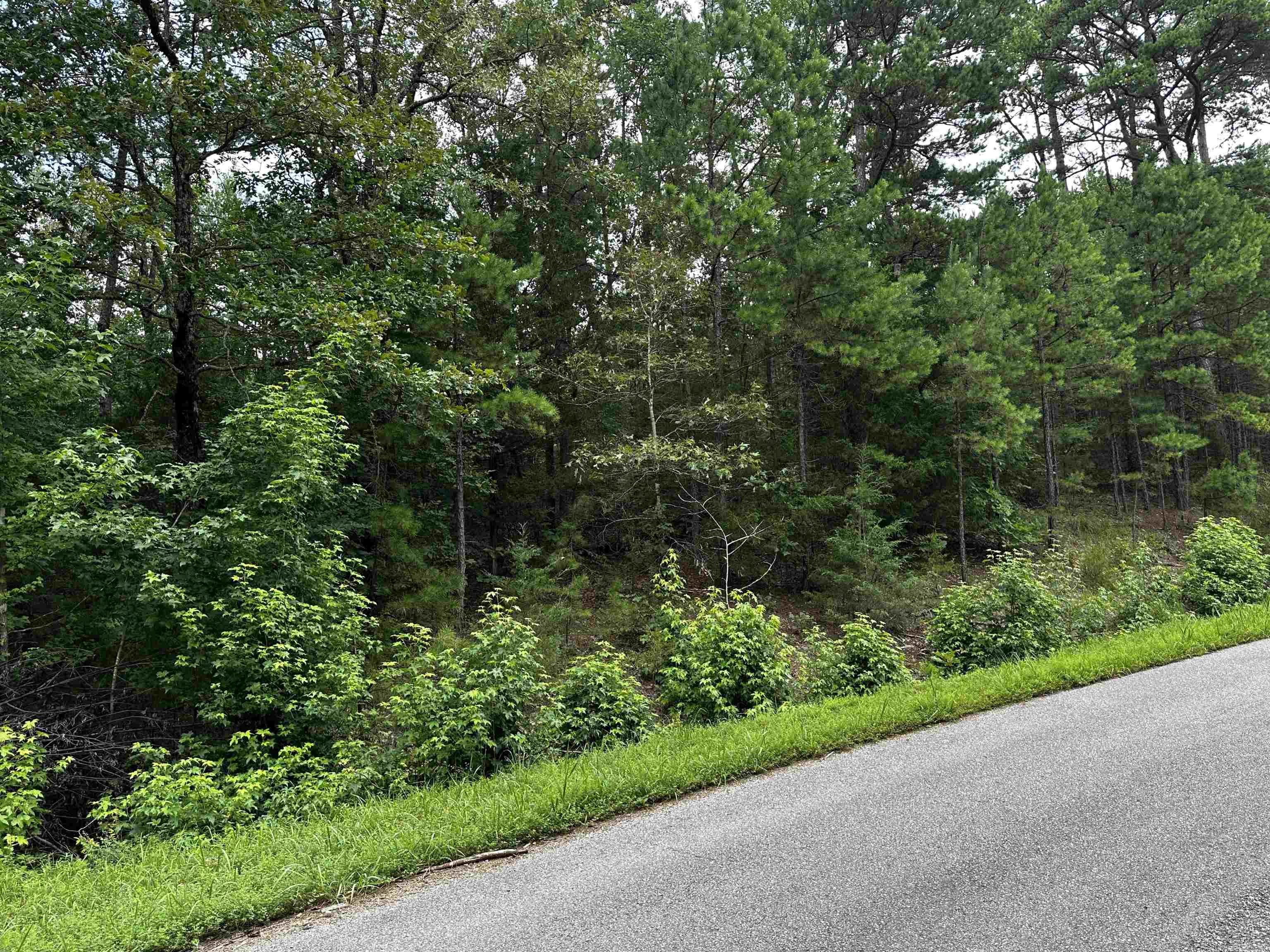 Lot 106  Cobalt Bay Drive  Shirley, AR