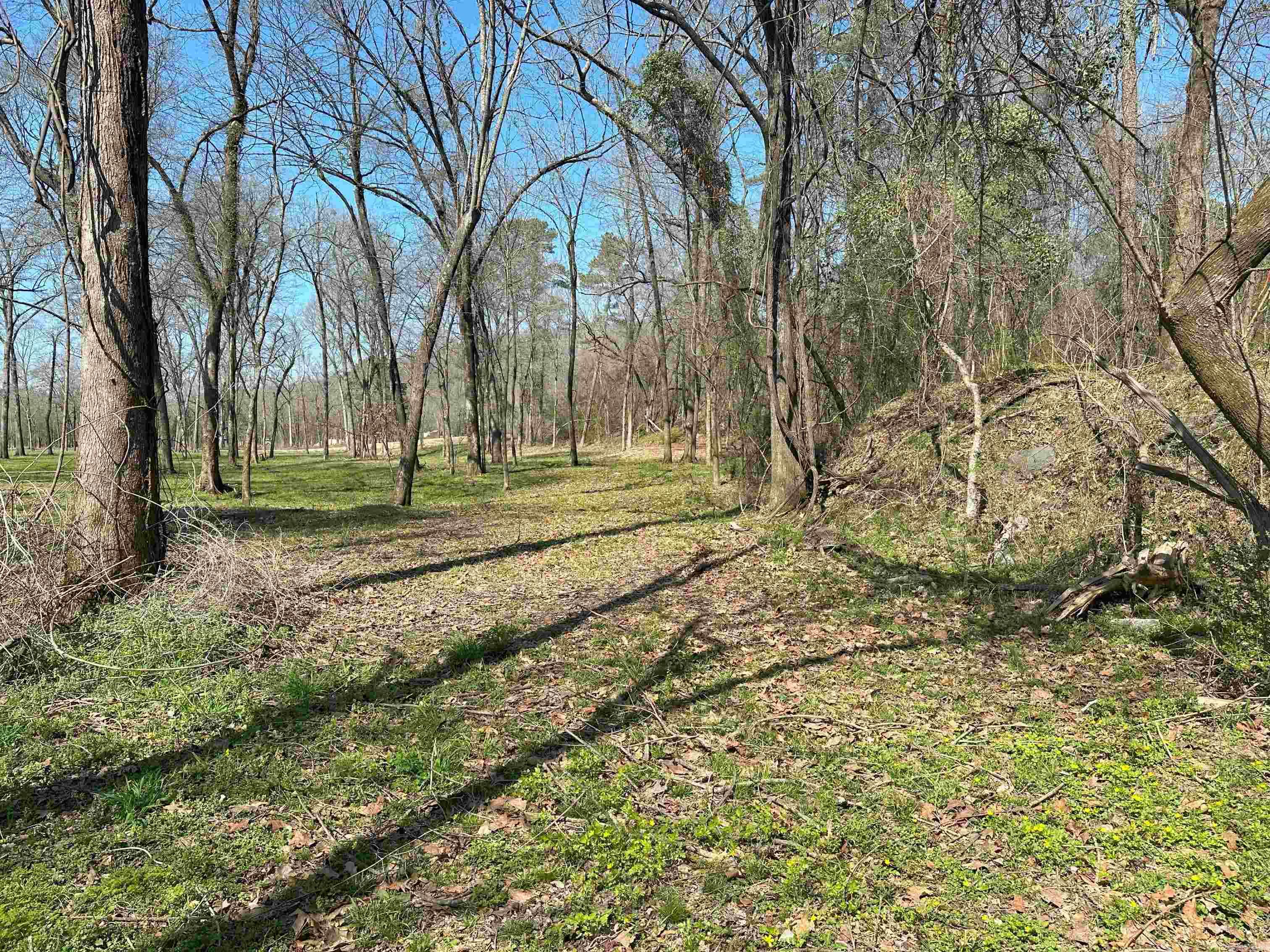 lot 3  Hwy 8  Glenwood, AR