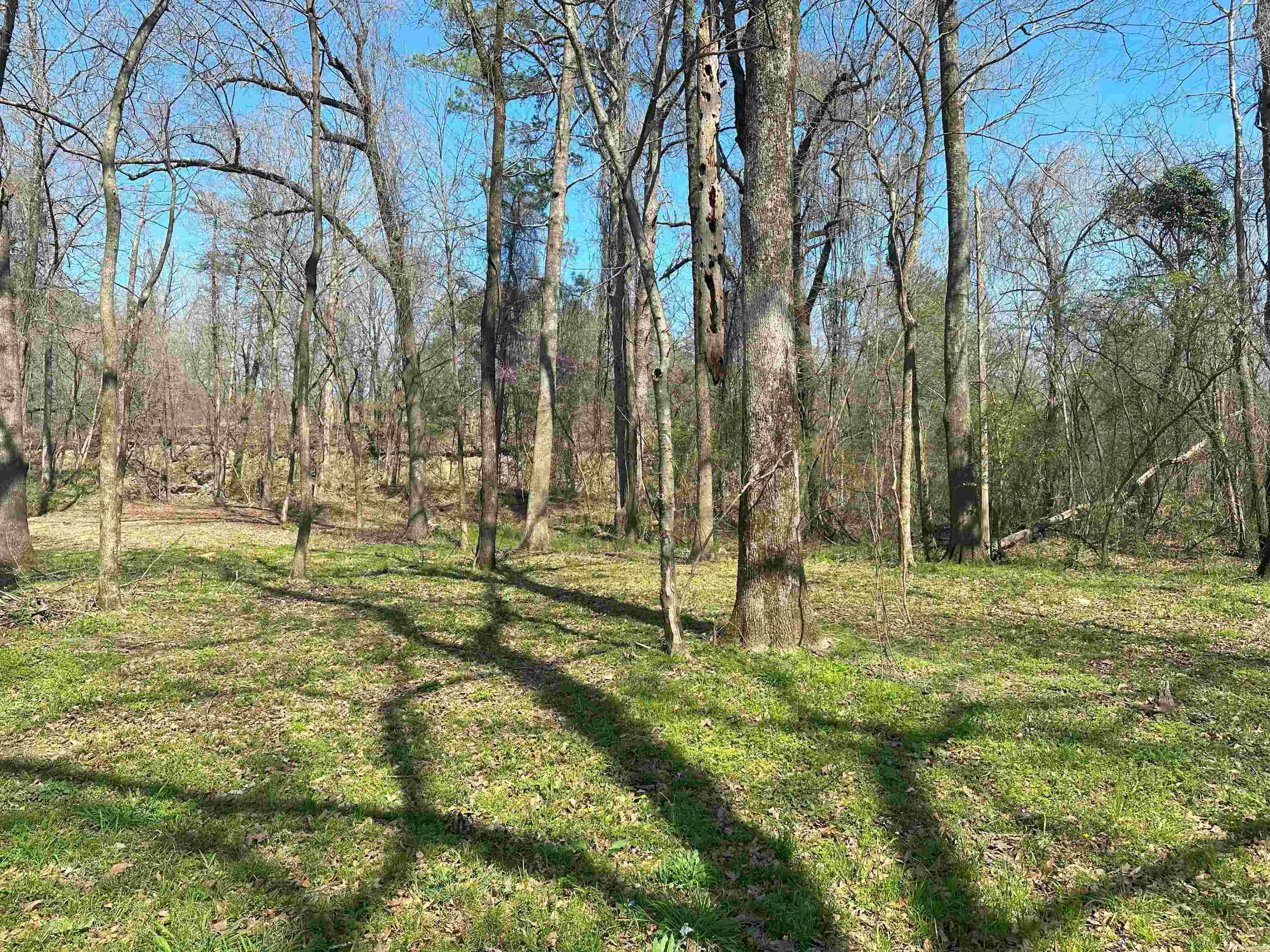 lot 3  Hwy 8  Glenwood, AR