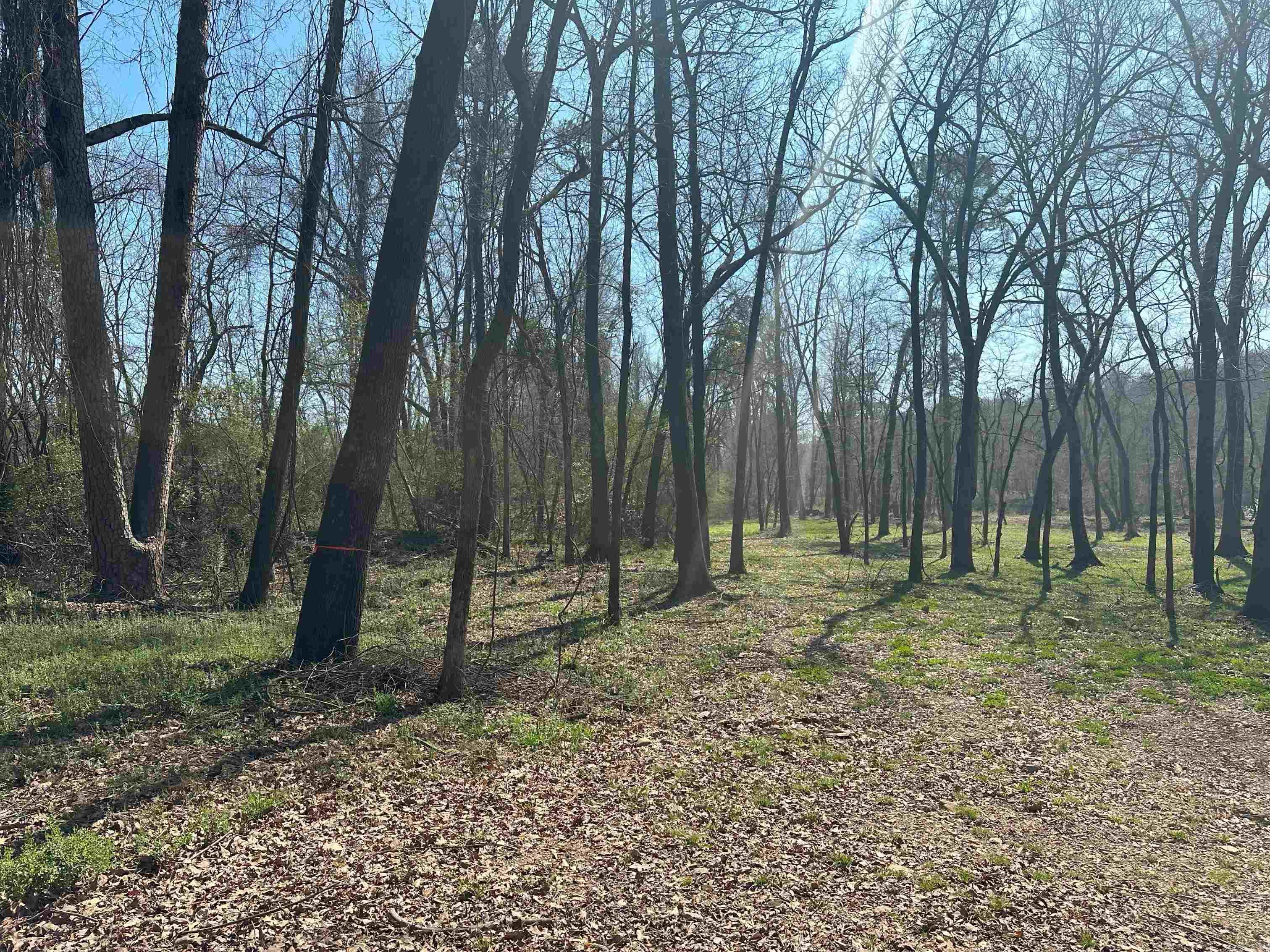 lot 3  Hwy 8  Glenwood, AR