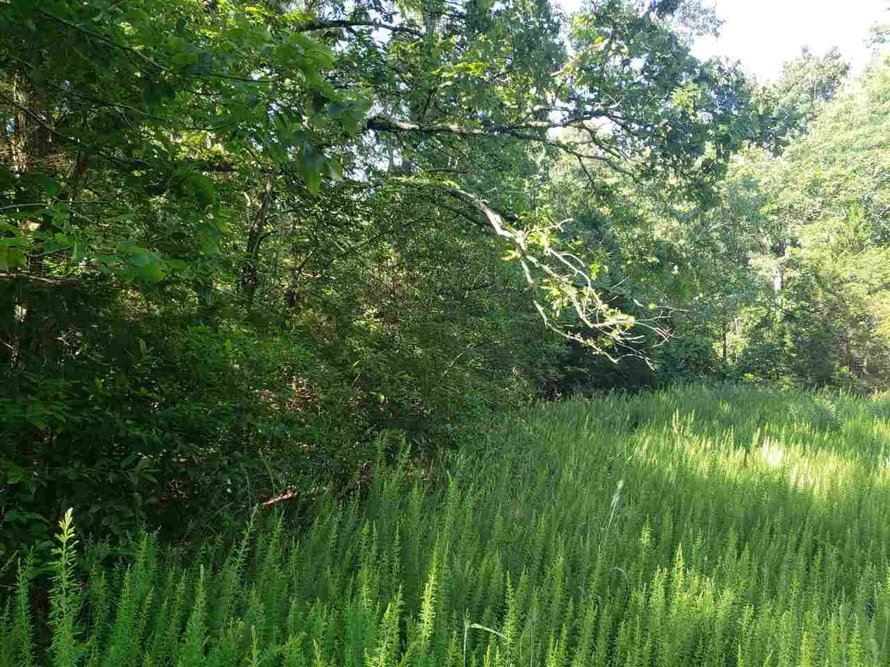 L-57, B-4  Oho  Cherokee Village, AR