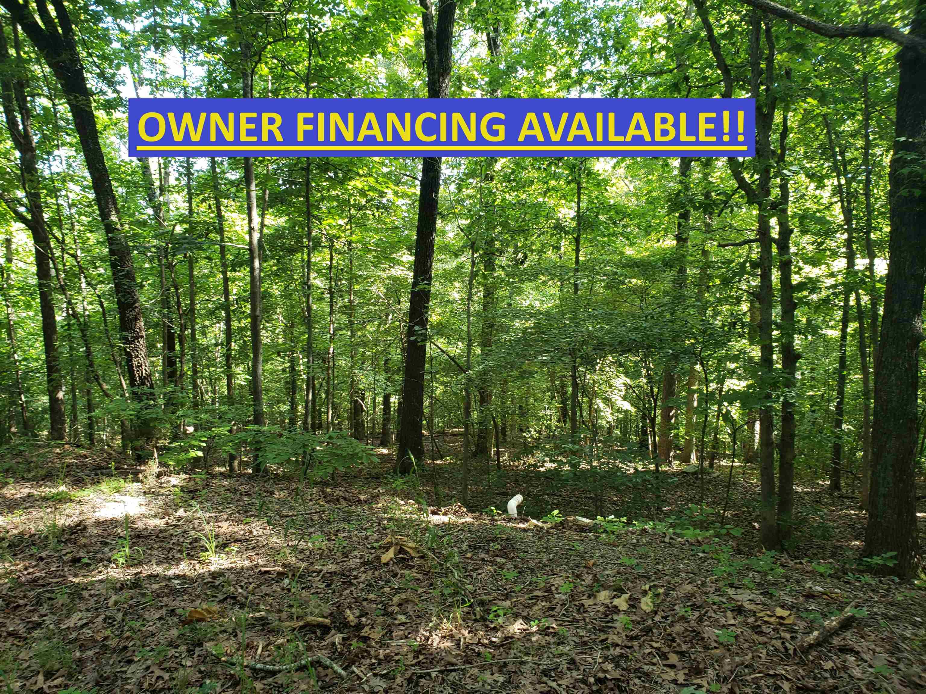 L-8, B-4  Haynie  Cherokee Village, AR