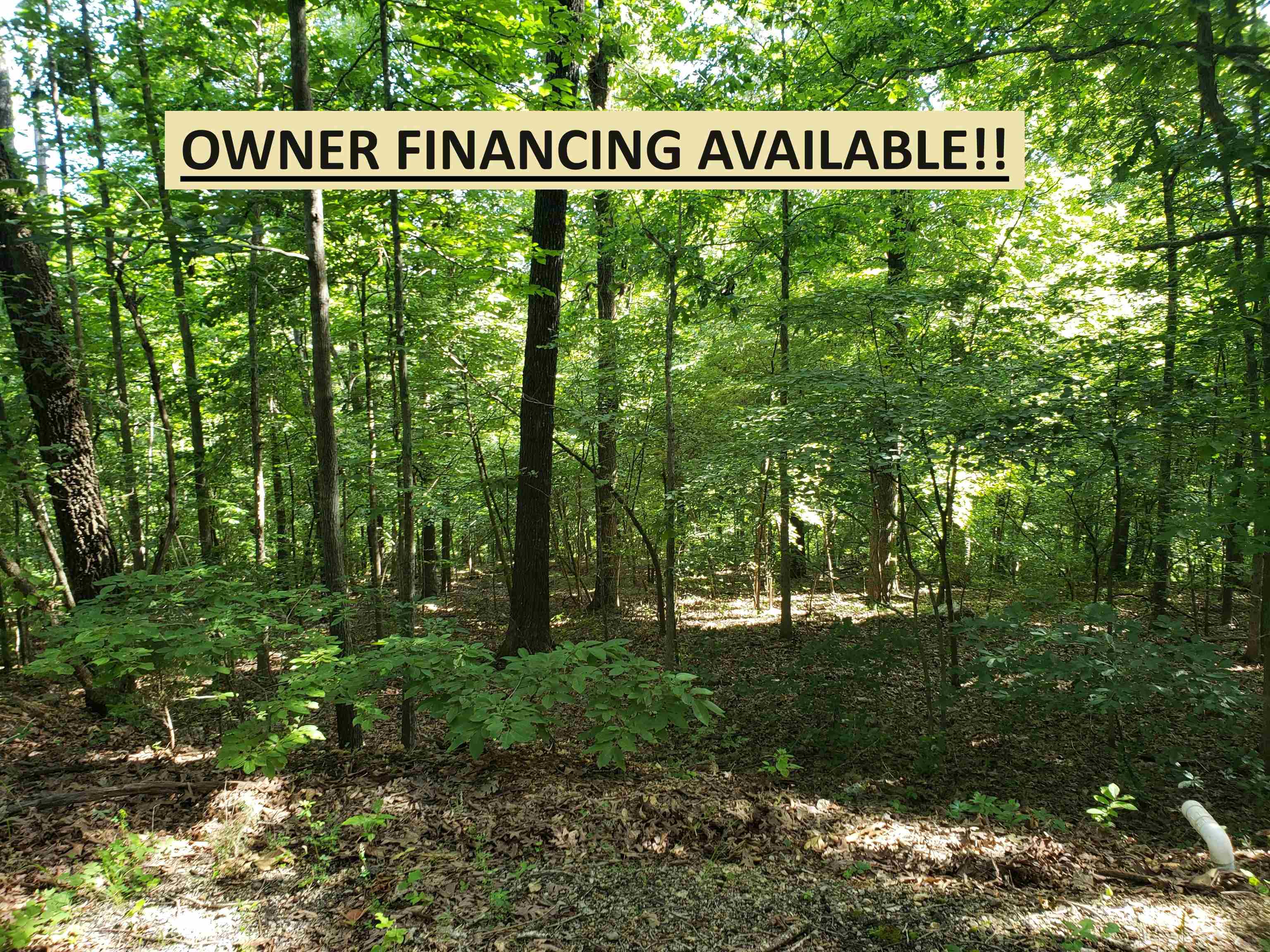 L-5, B-1  Arivaipa  Cherokee Village, AR