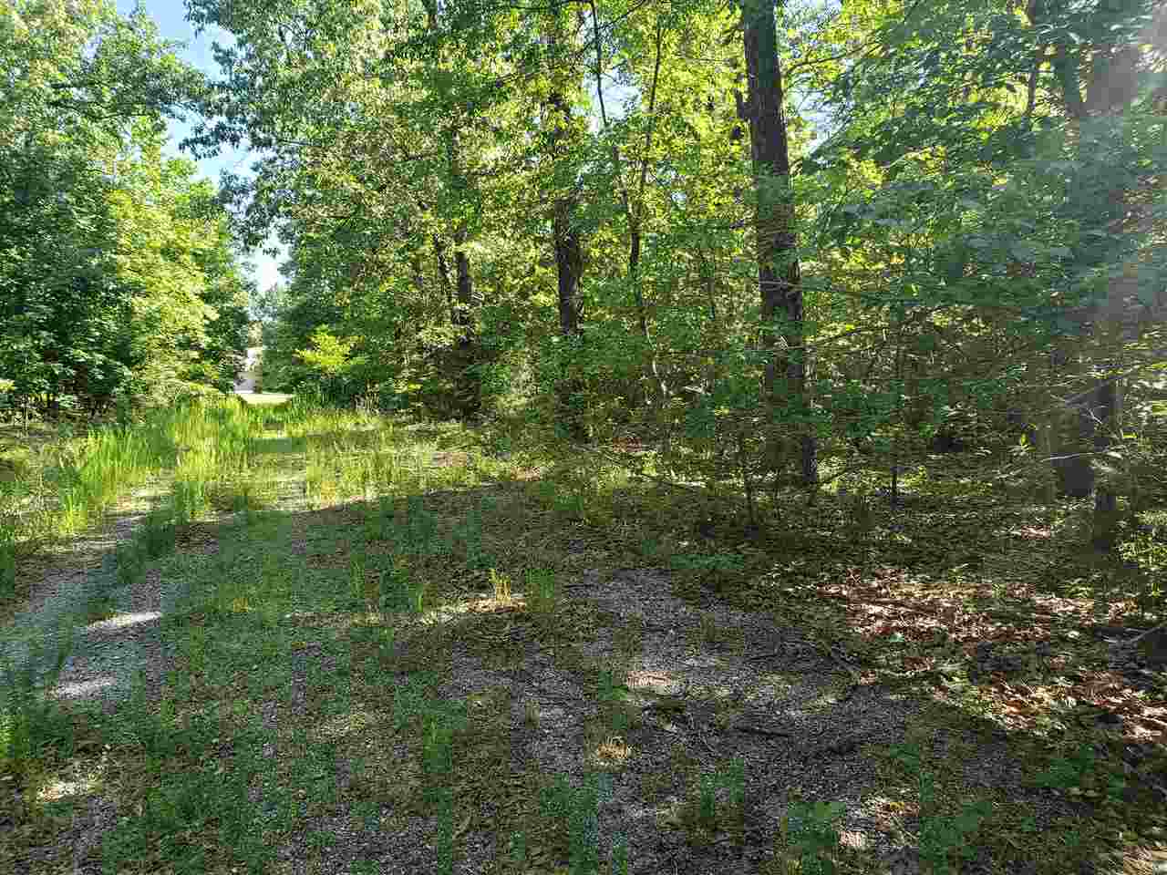 L-5, B-1  Arivaipa  Cherokee Village, AR
