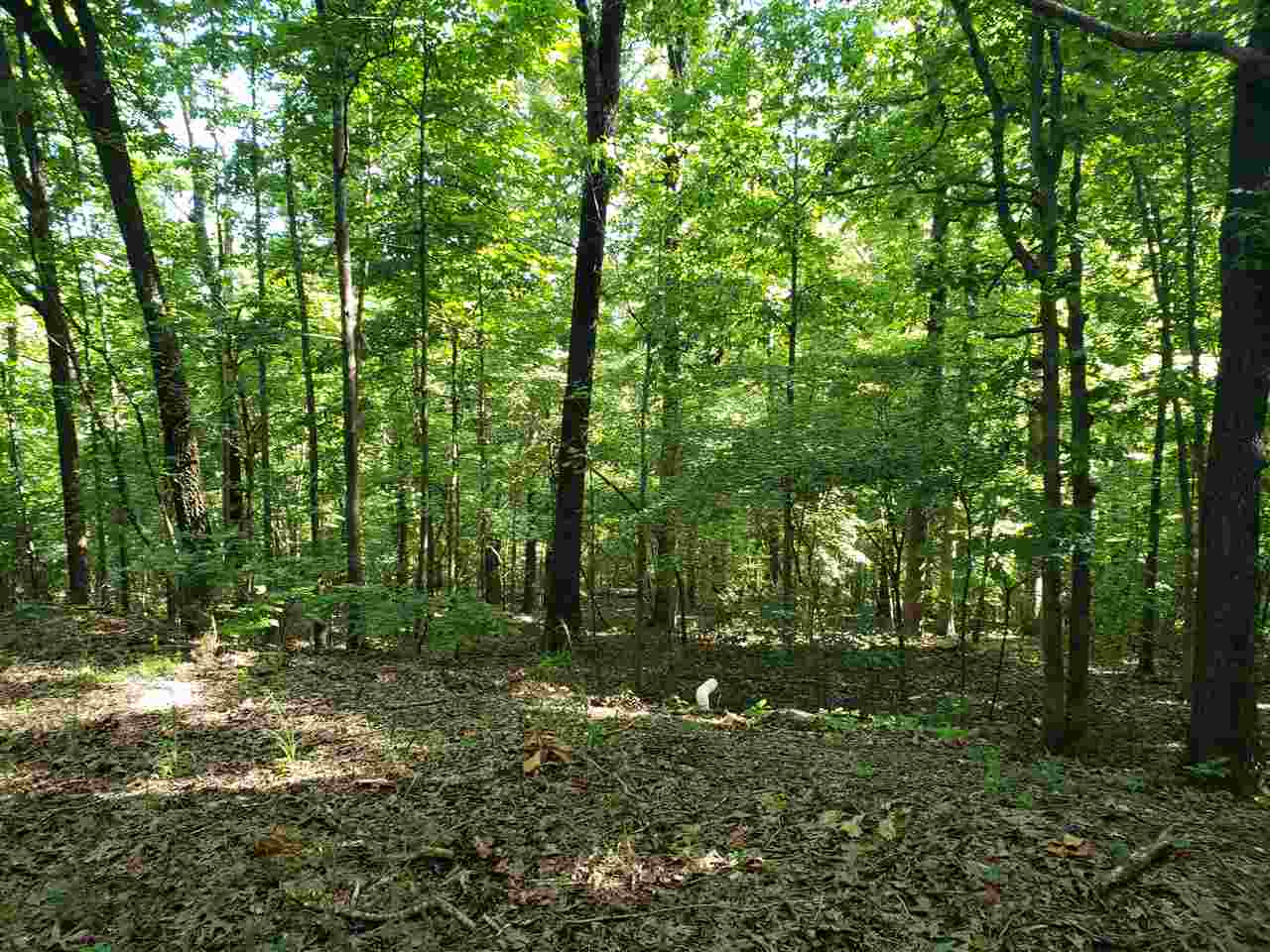 L-5, B-1  Arivaipa  Cherokee Village, AR