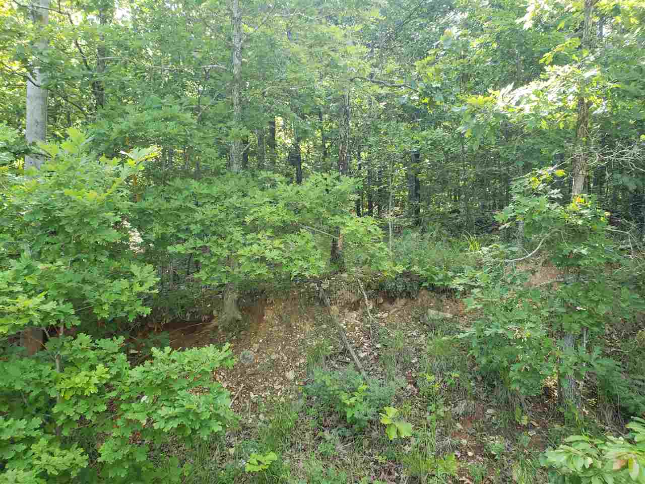 L-5, B-1  Arivaipa  Cherokee Village, AR