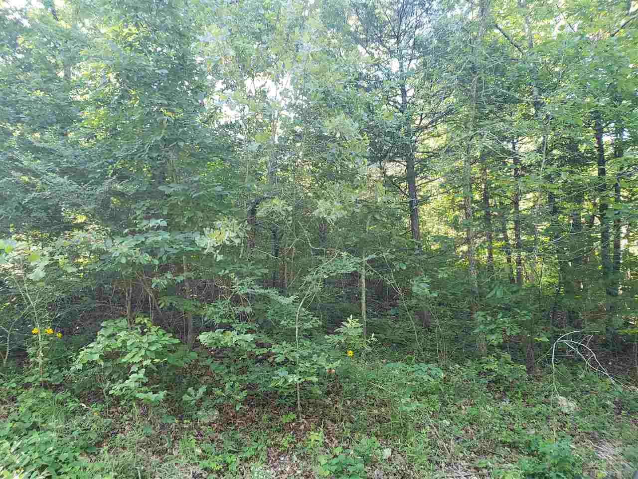 L-5, B-1  Arivaipa  Cherokee Village, AR