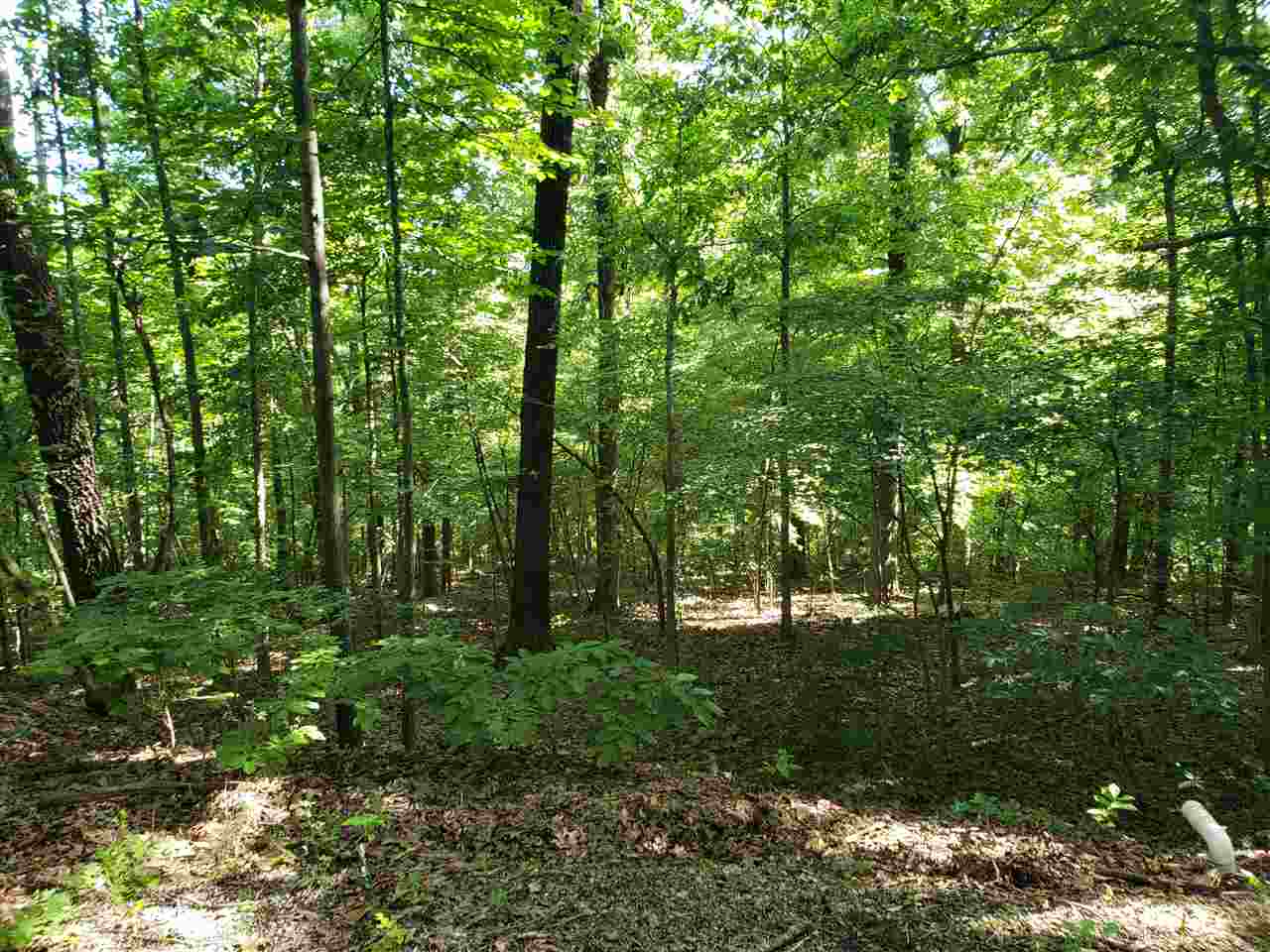 L-4, B-2  Wiyot  Cherokee Village, AR