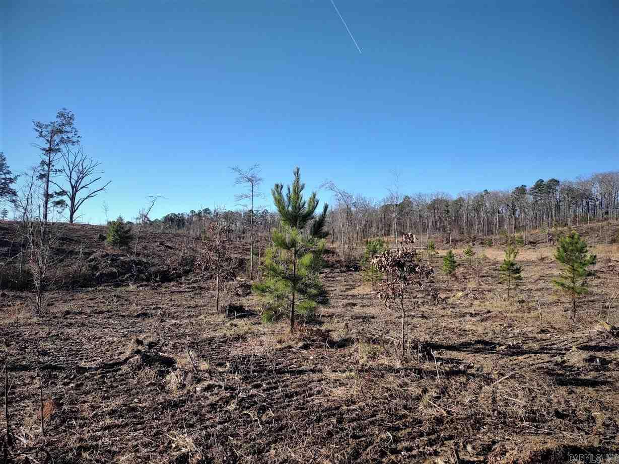 Lot 18  Elk Meadows  Hot Springs, AR