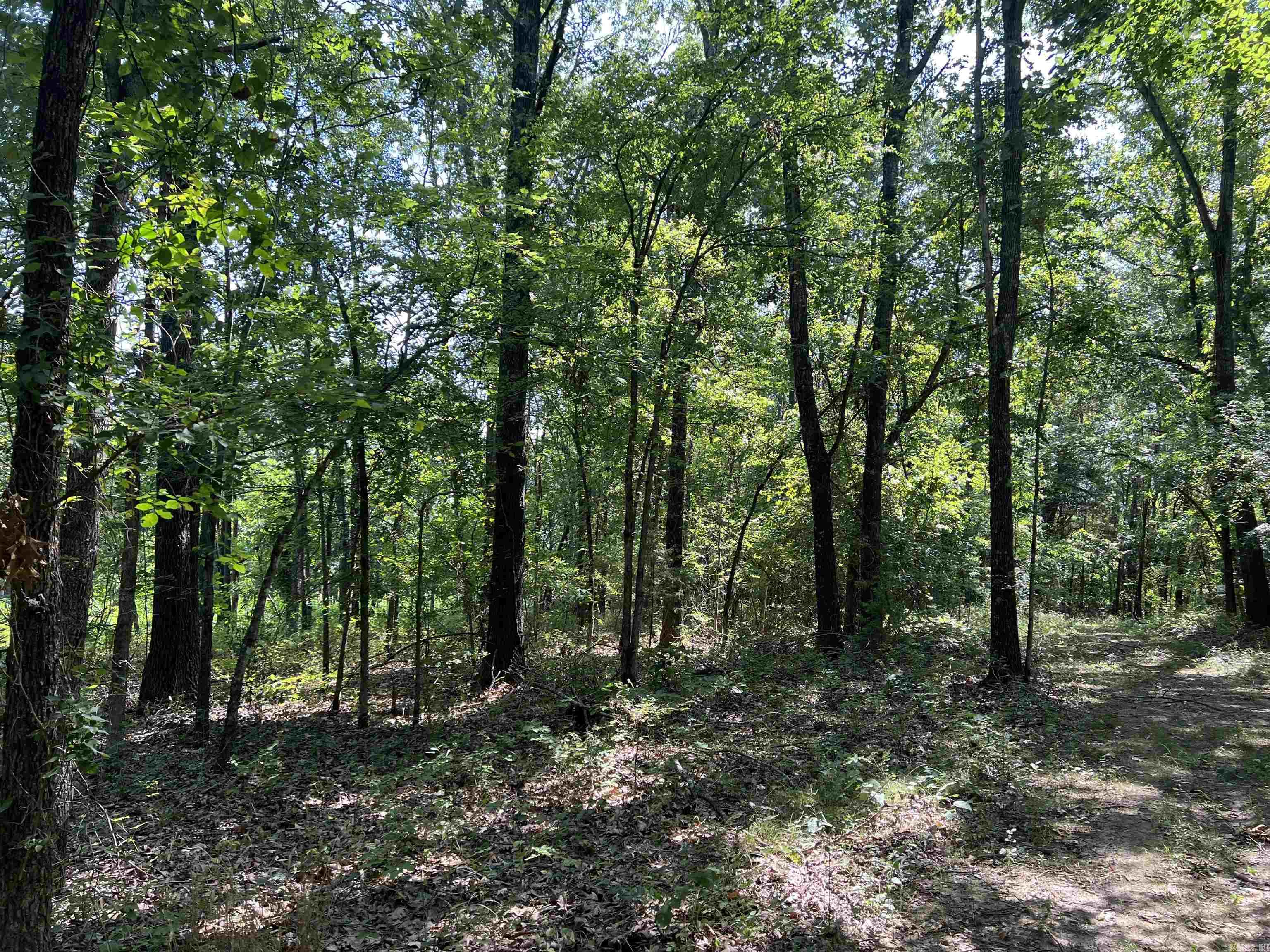 47  Cedar Crk  Harrison, AR