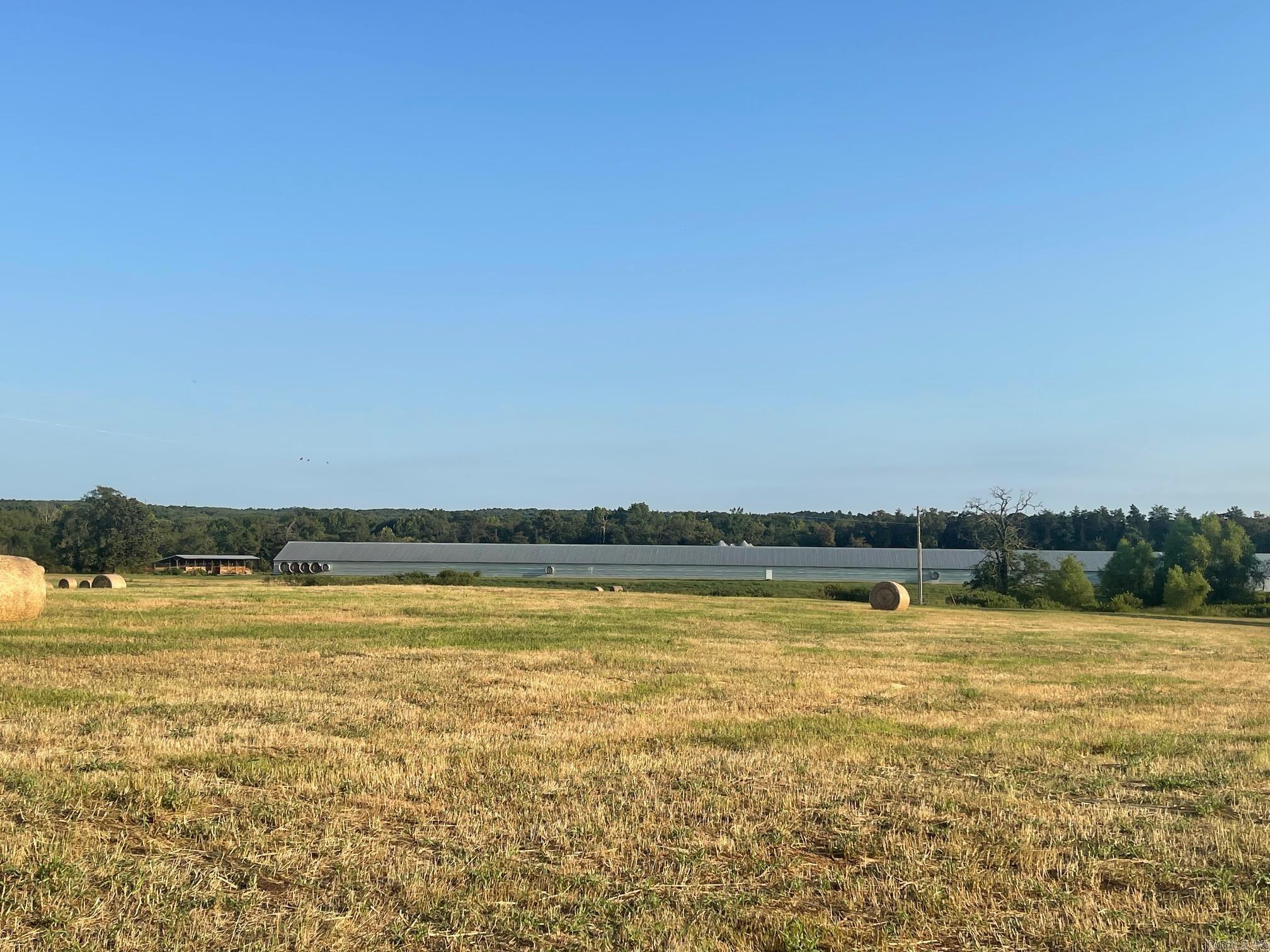 9999  Polk Road 31  Hatfield, AR