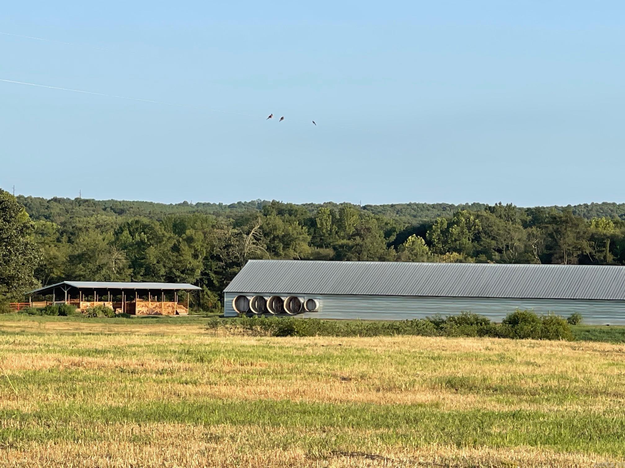 9999  Polk Road 31  Hatfield, AR