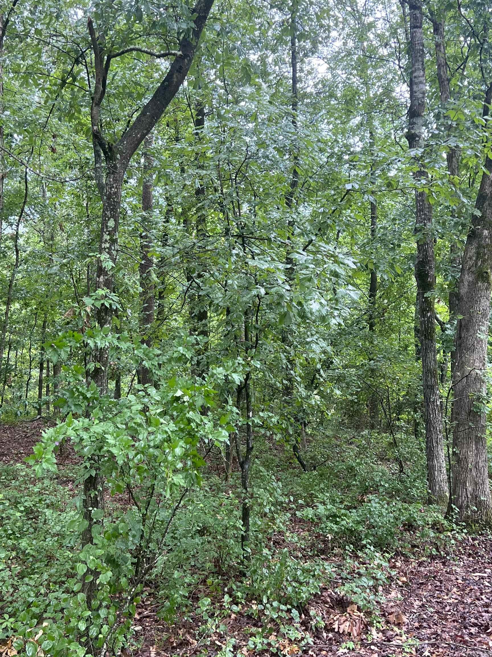00  Boastwood  White Hall, AR