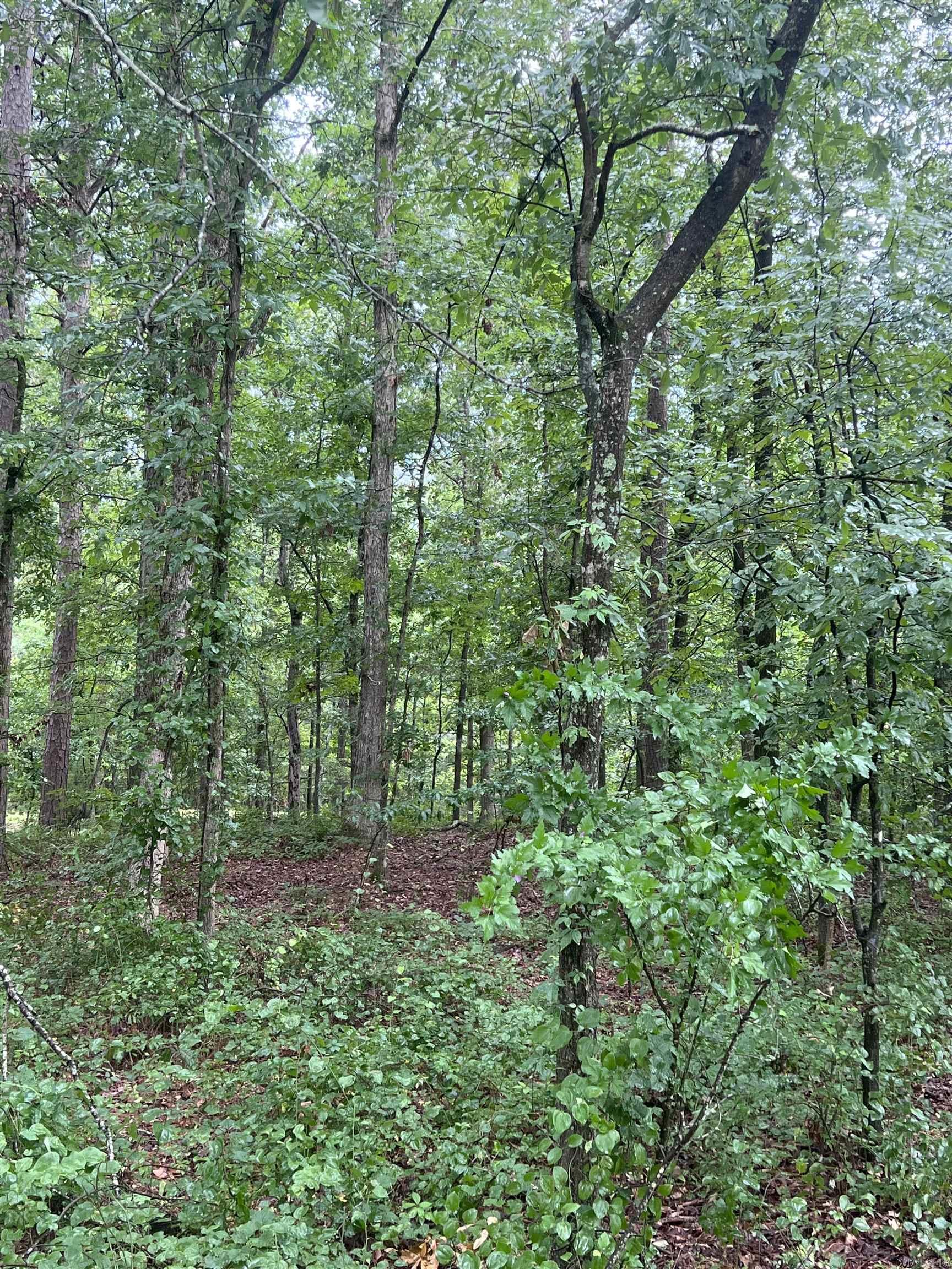 00  Boastwood  White Hall, AR