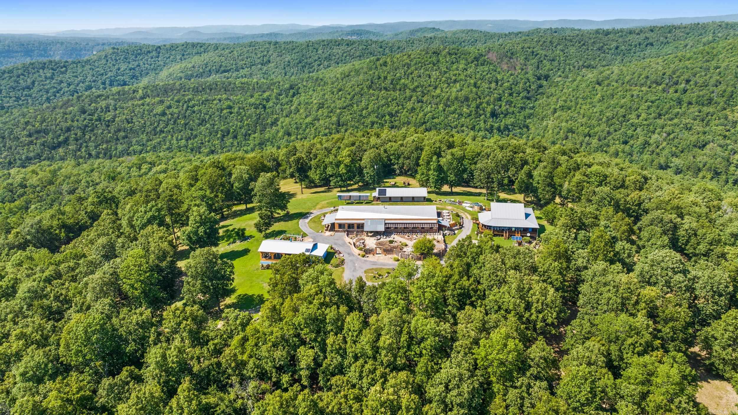 2115  Schnauzer  Harriet, AR