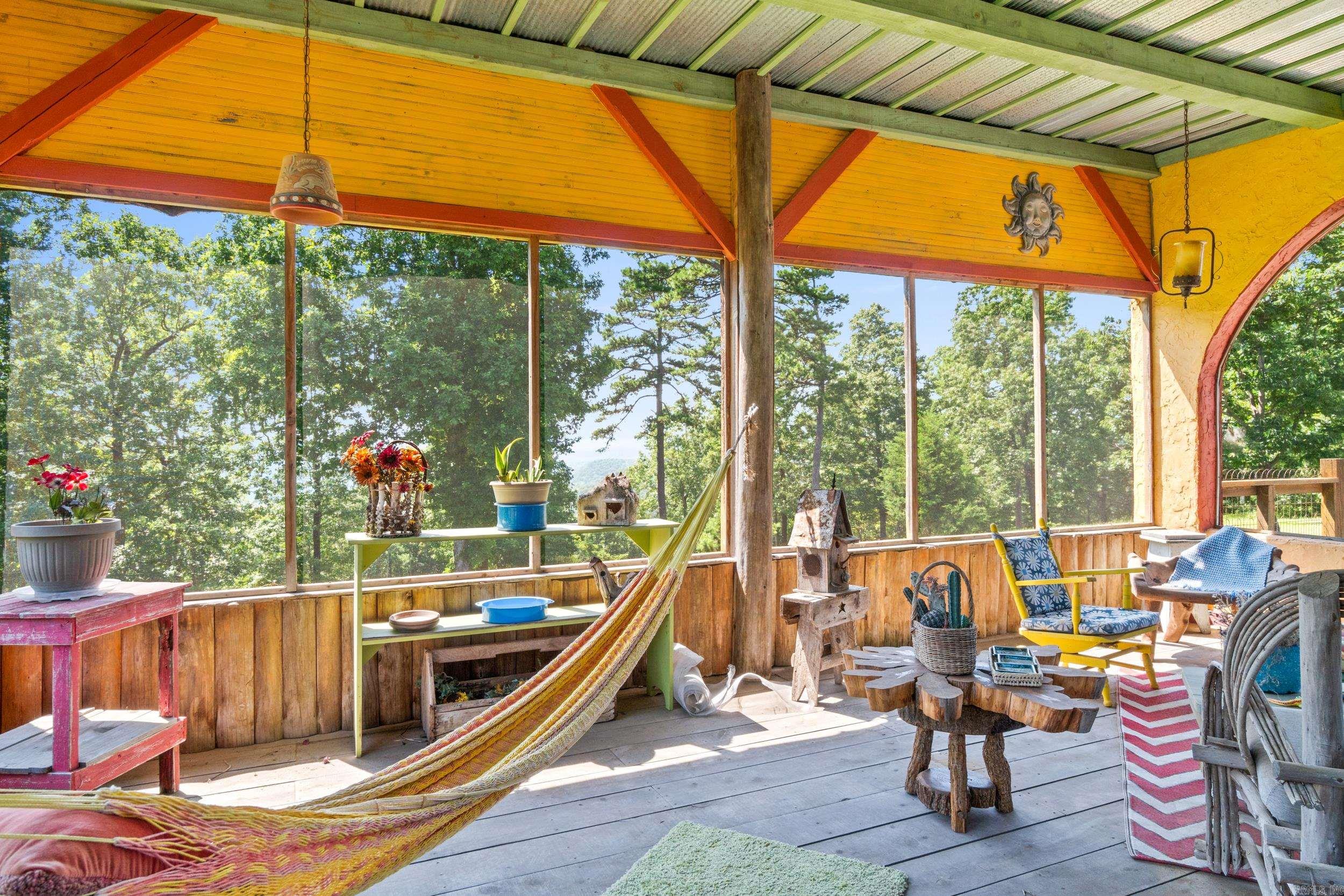 2115  Schnauzer  Harriet, AR