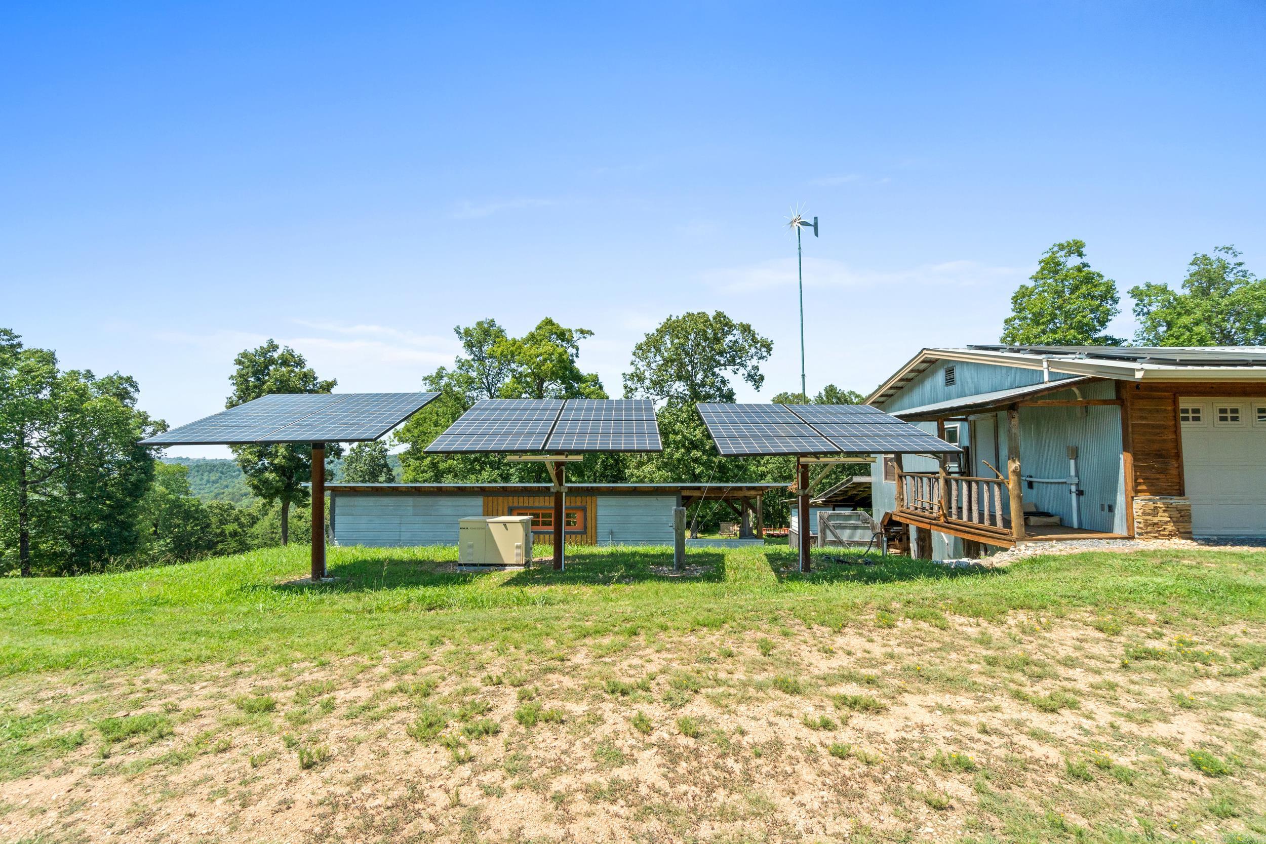 2115  Schnauzer  Harriet, AR