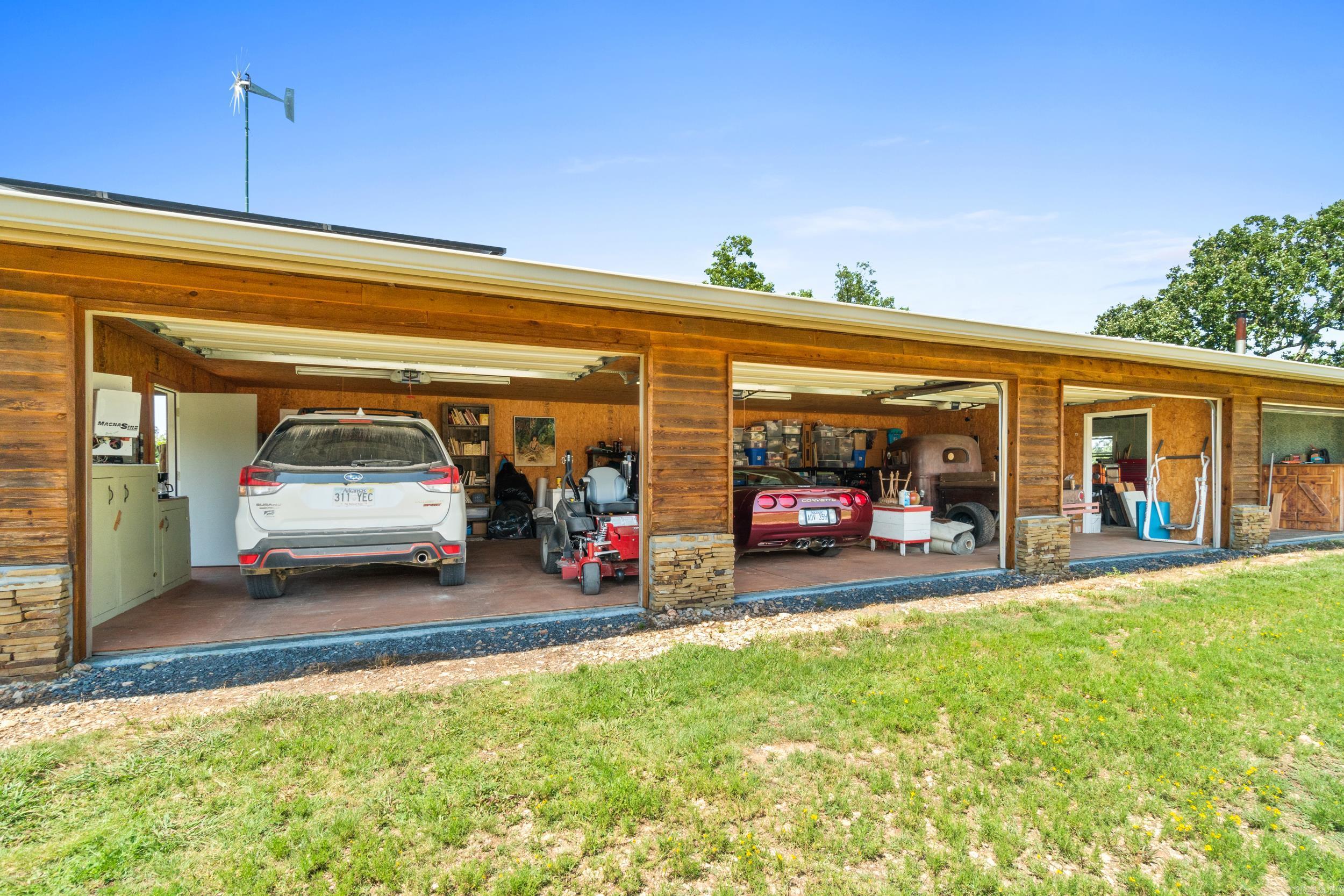 2115  Schnauzer  Harriet, AR