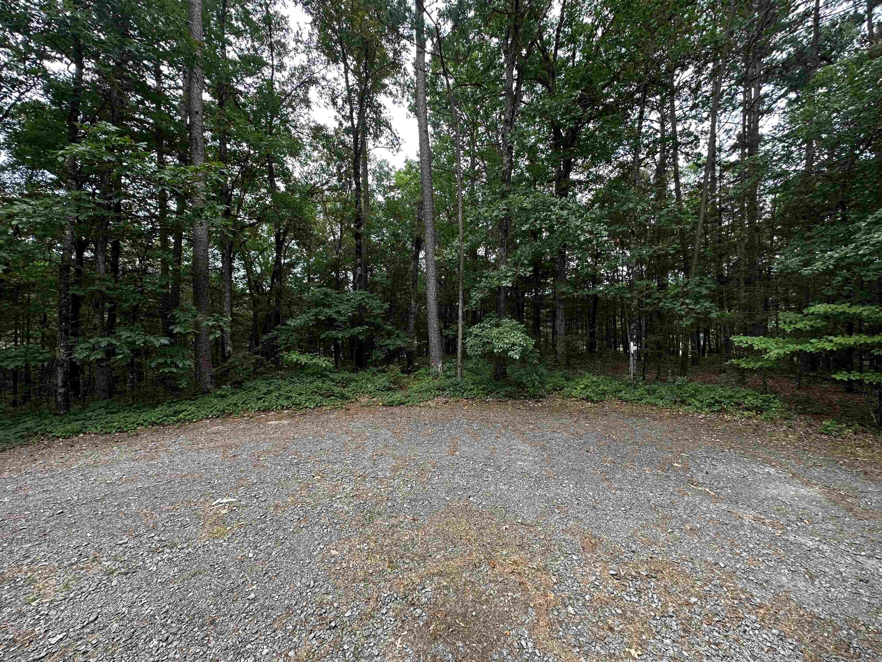Lot 14  Thompson Cove Lane  Shirley, AR