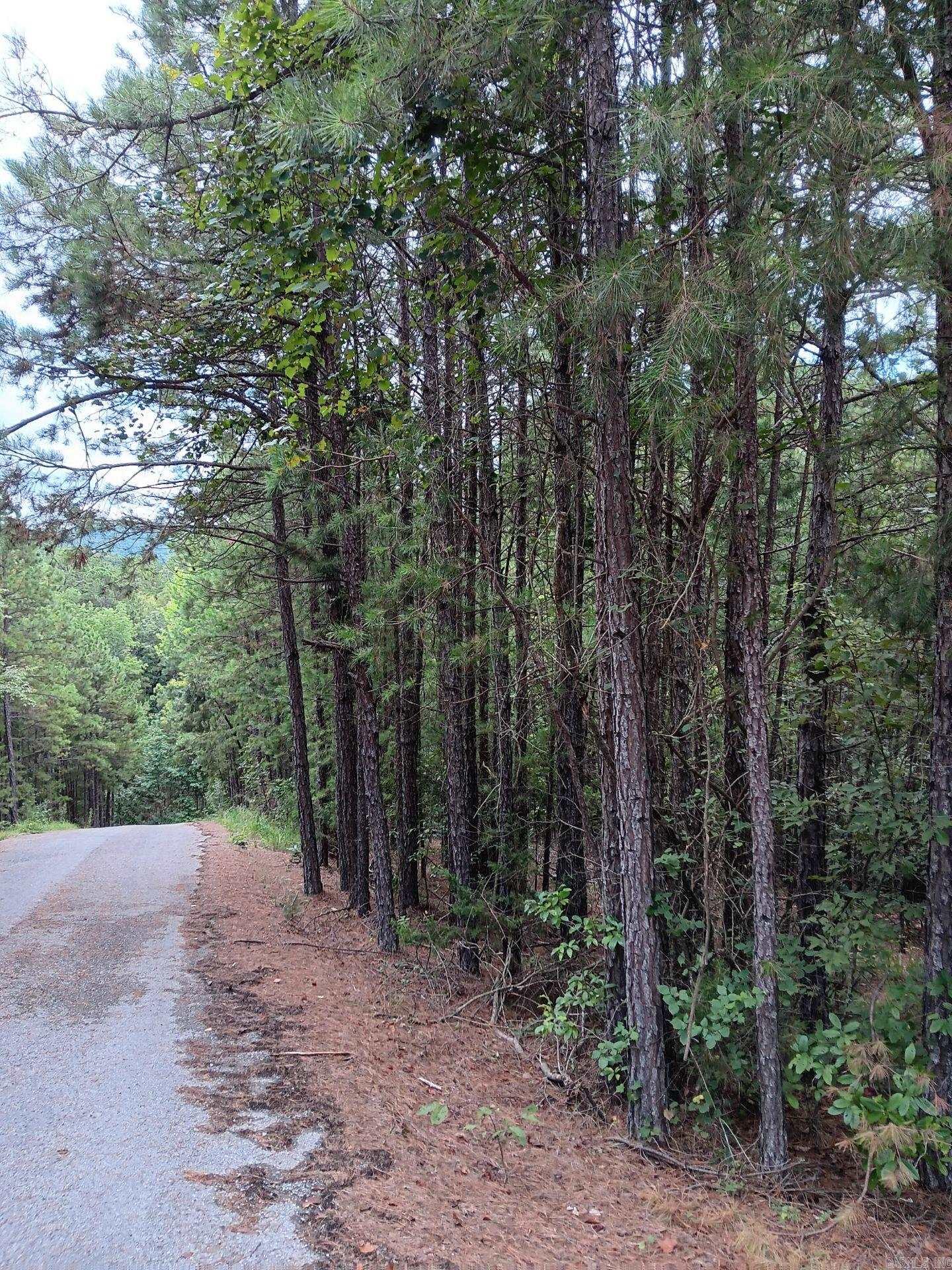 Lot 14  Thompson Cove Lane  Shirley, AR