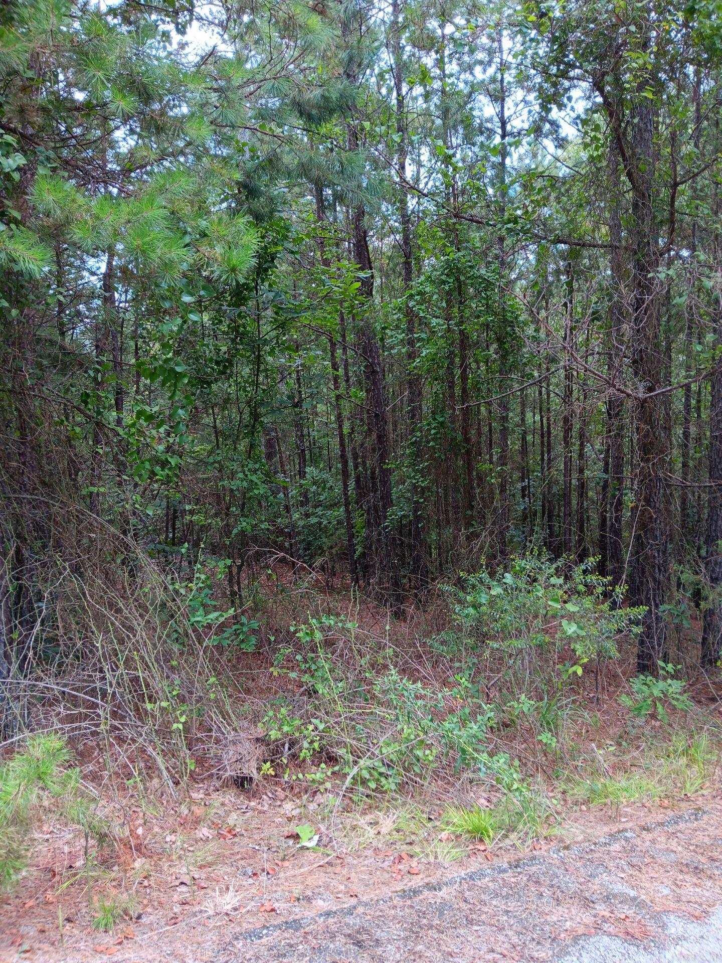 Lot 14  Thompson Cove Lane  Shirley, AR