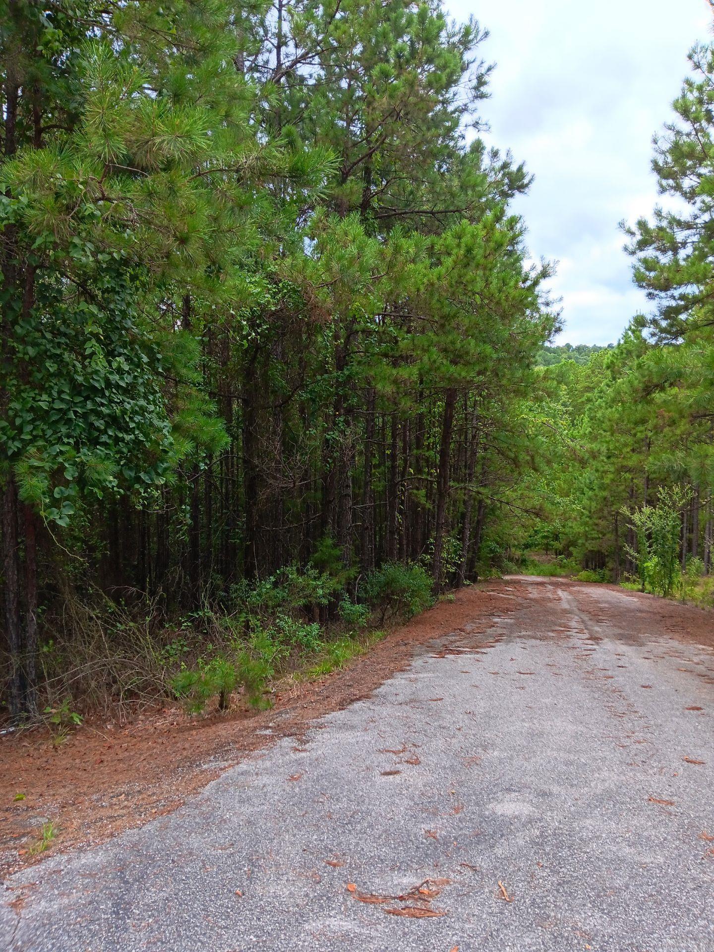 Lot 14  Thompson Cove Lane  Shirley, AR