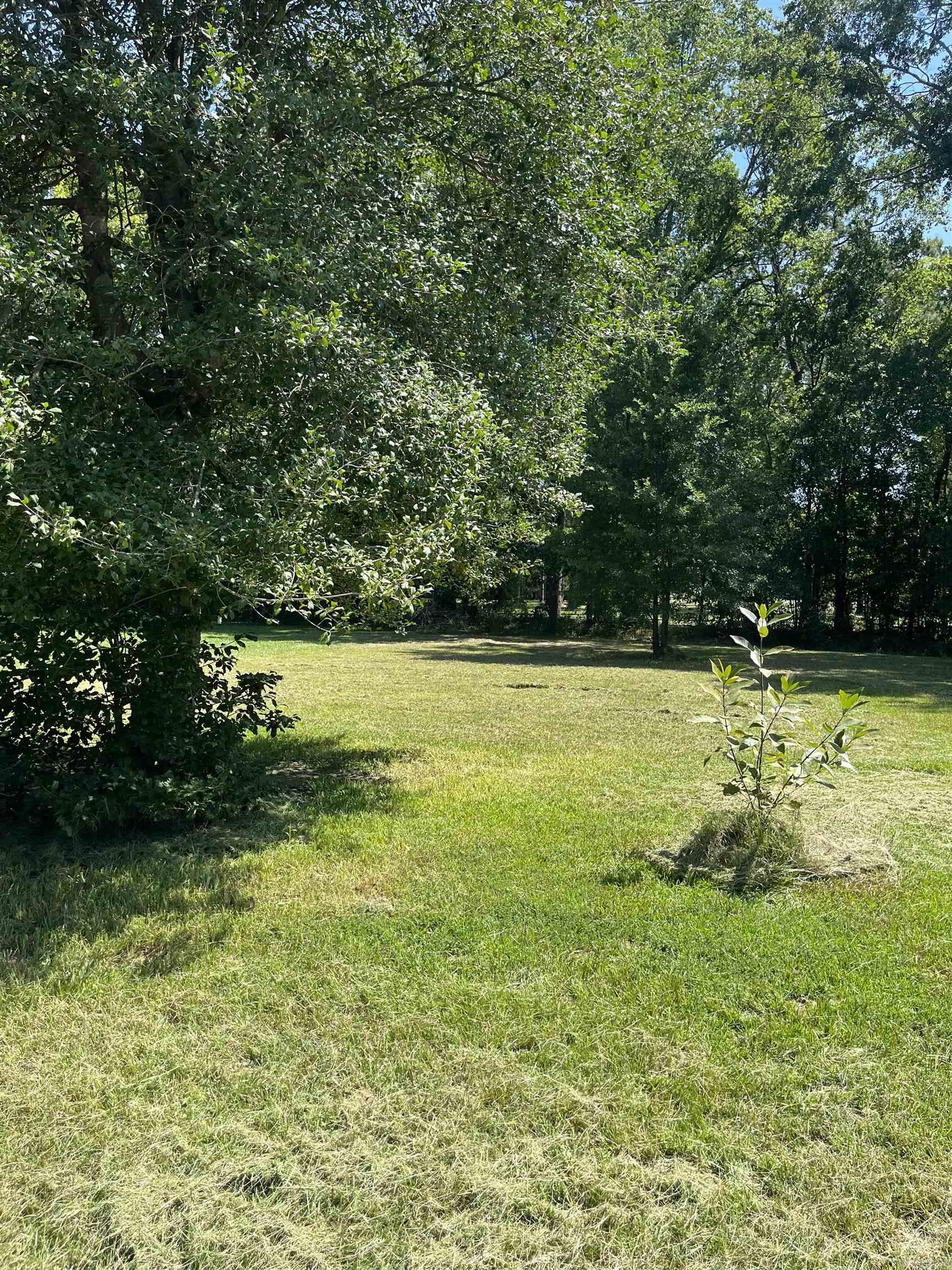 720 NE 1st  Bearden, AR